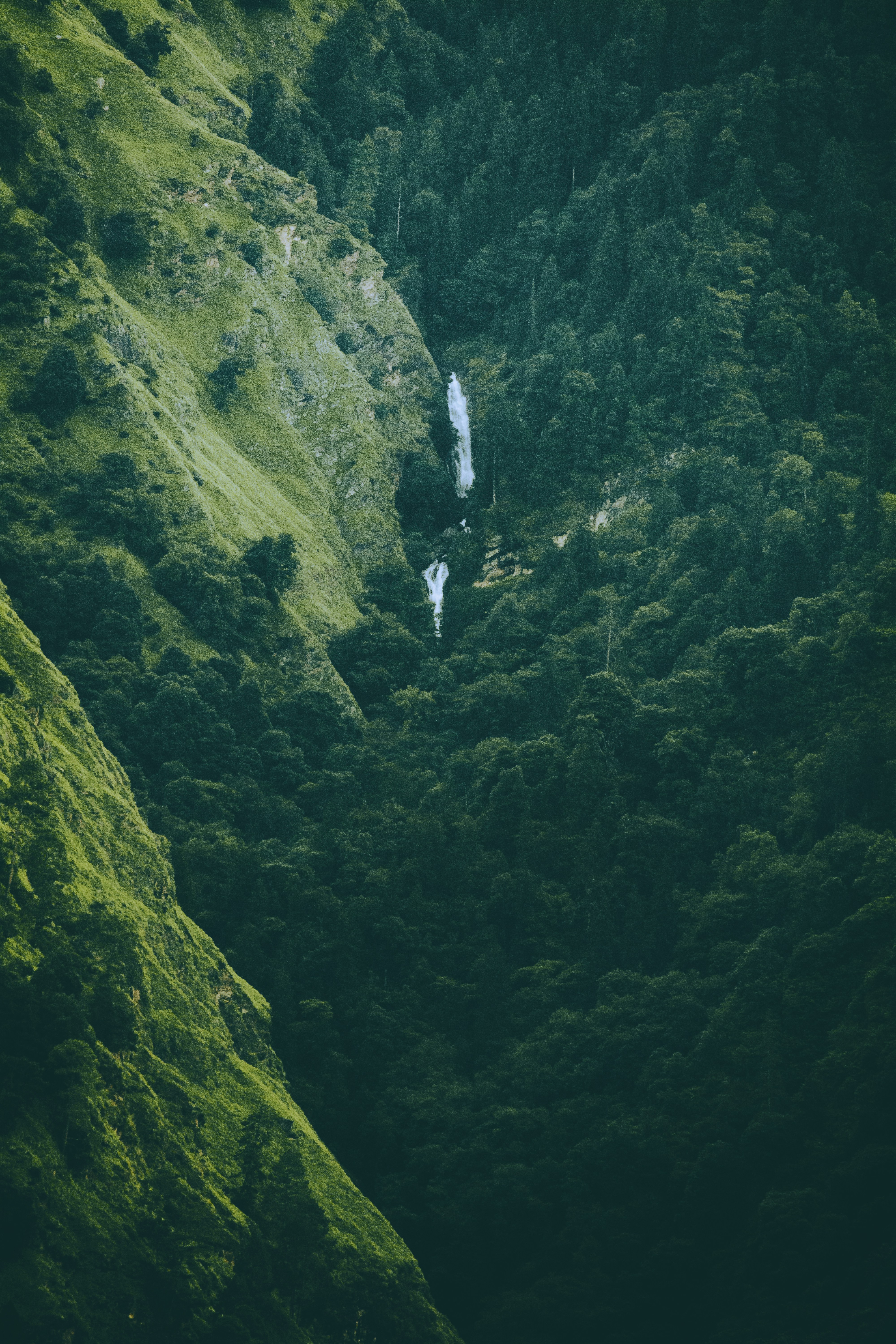 Photo by rohit_kumar_21