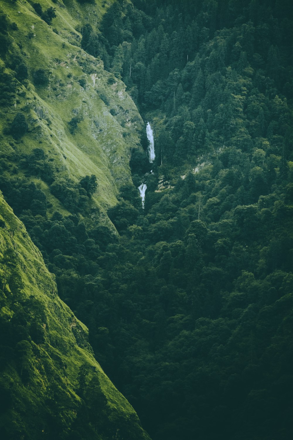 a waterfall in a forest