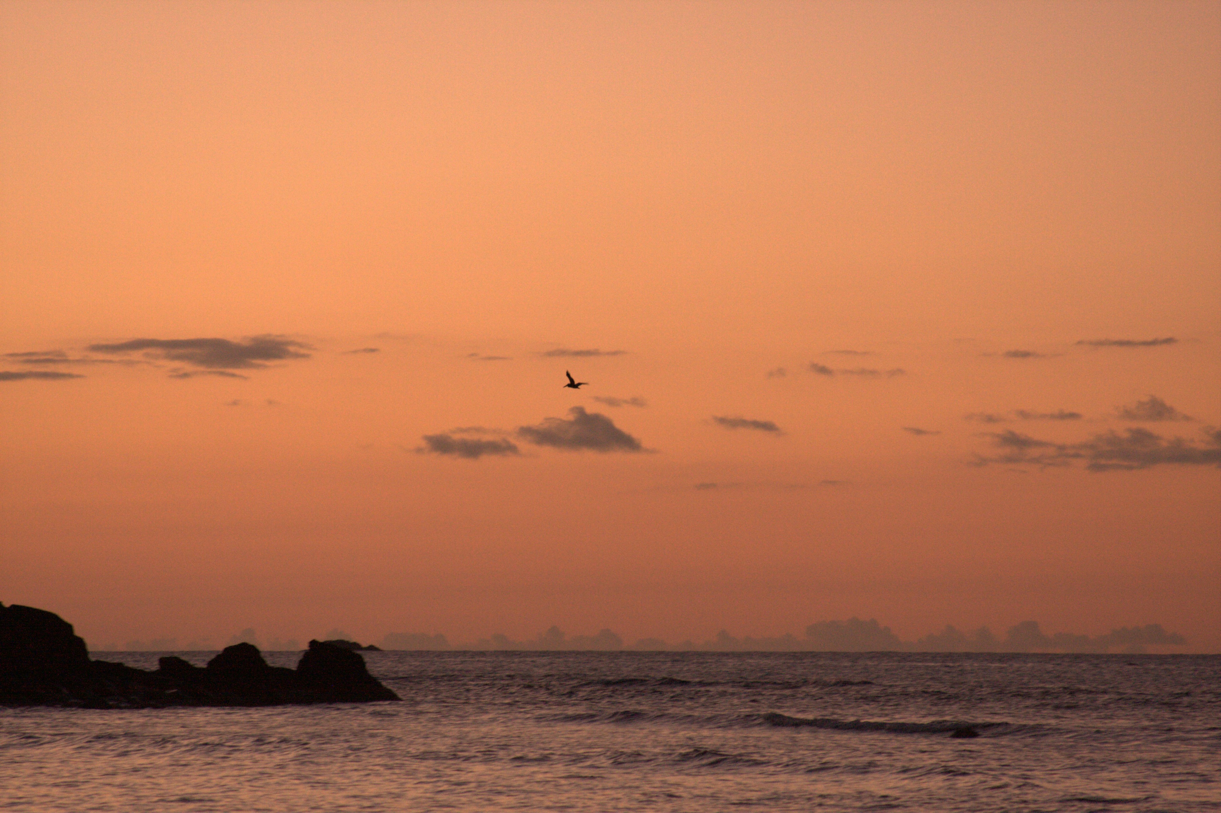 Photo by climatechangevi