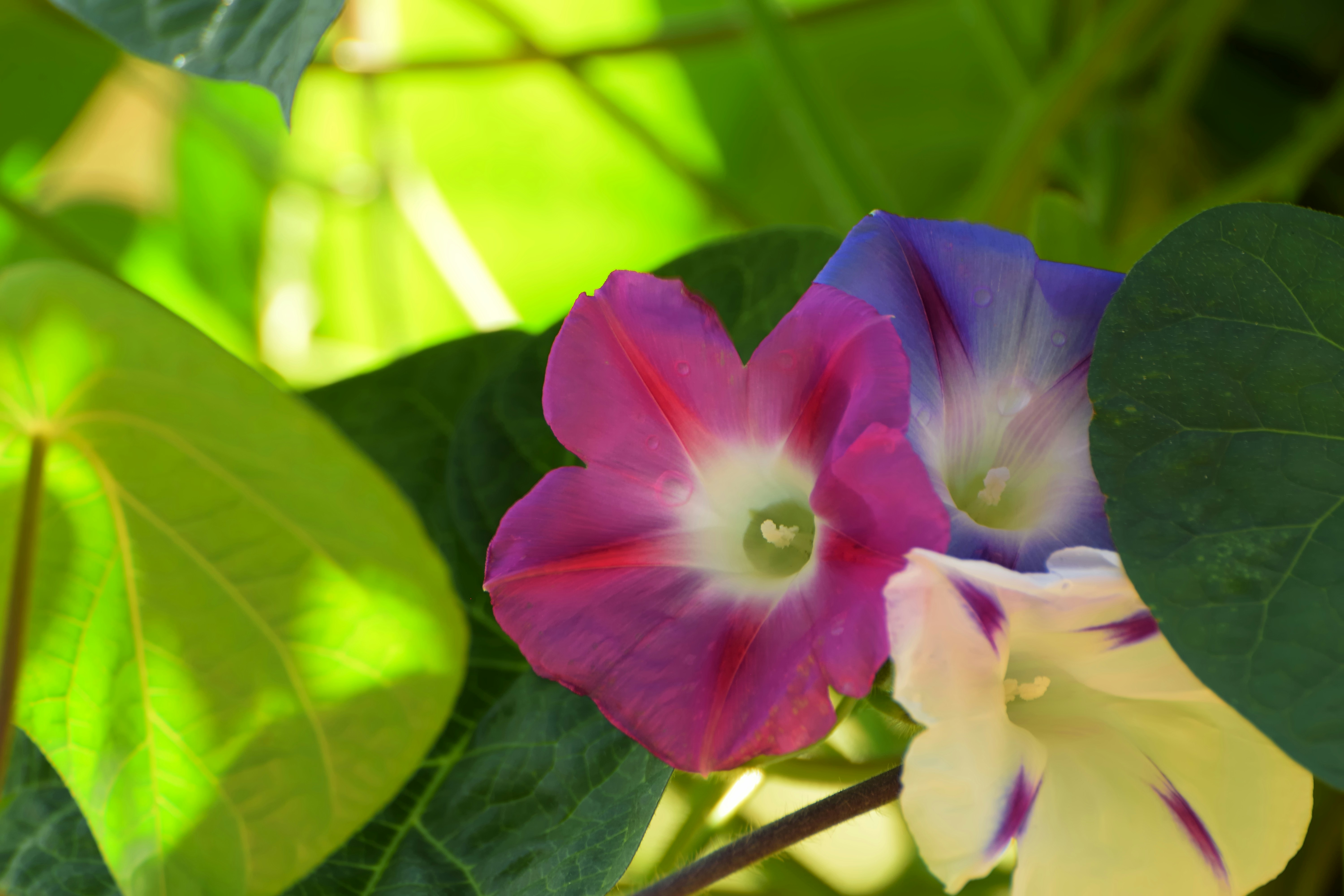 Photo by azxa661