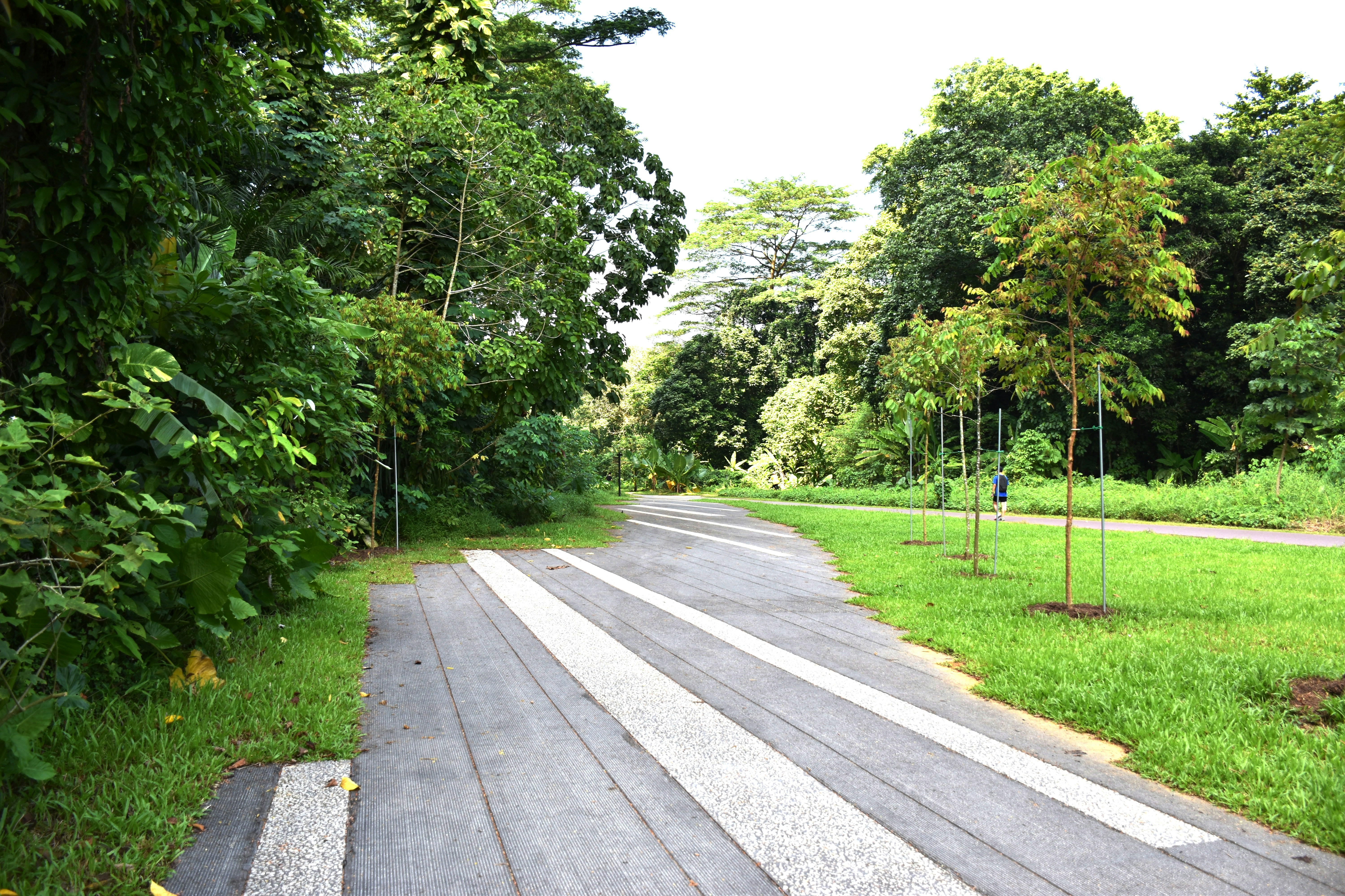 Photo by noelleinmarket