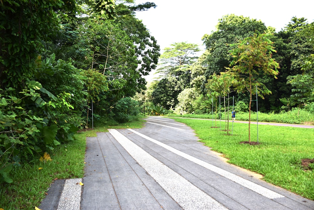 a paved road with trees on either side of it