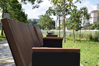 A sunny view of Riverside Park showing freshly installed wooden benches along a walking path.