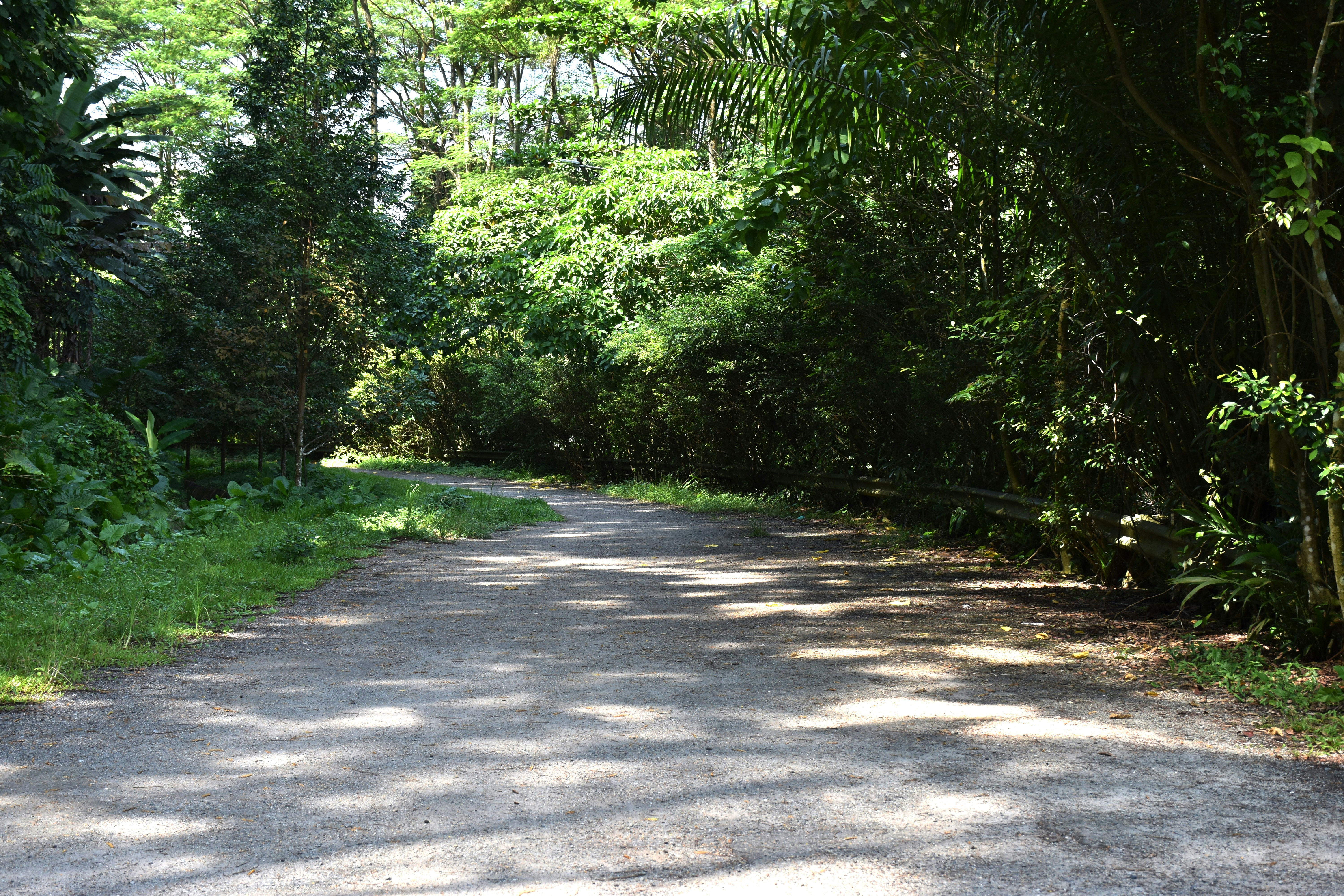 Photo by noelleinmarket