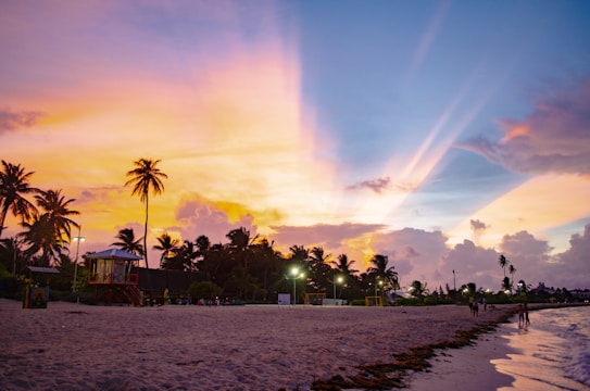 A picturesque beach scene at sunset with a sky painted in vibrant shades of orange, pink, and blue. Tall palm trees line the sandy shore, and there are a few people walking by the water's edge. A small, colorful lifeguard tower is visible on the left, while the warm glow of streetlights illuminates the area near lush vegetation.