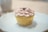 A single cupcake with a swirl of light pink frosting is set on a white plate. The cupcake is wrapped in a shiny, golden paper liner and topped with a small dollop of berry jam.