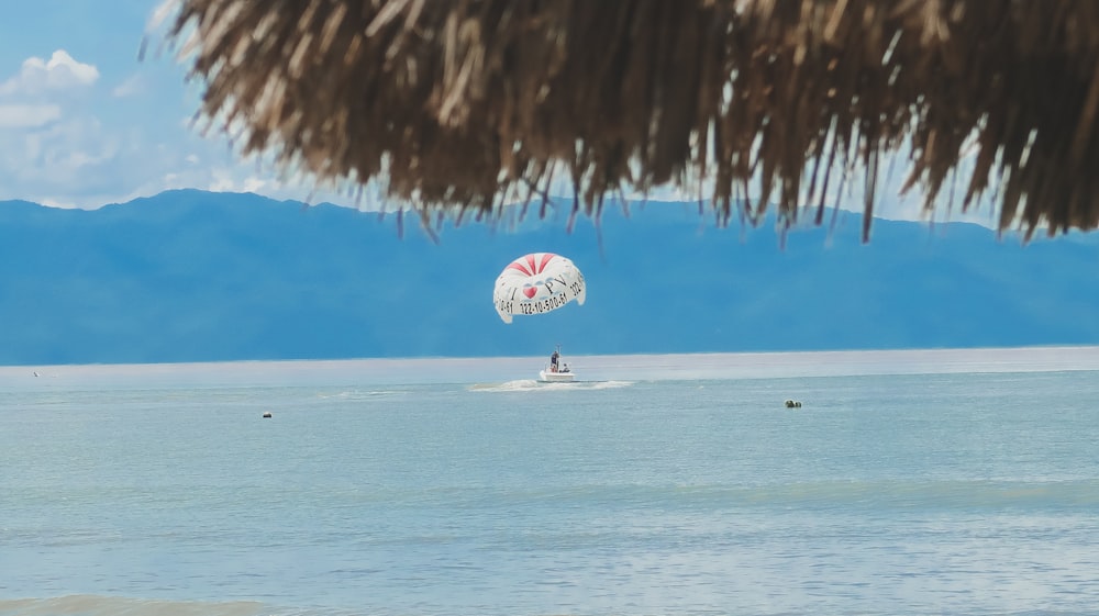 a person parasailing on the water