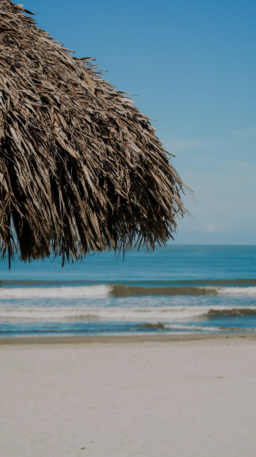 a close-up of a beach