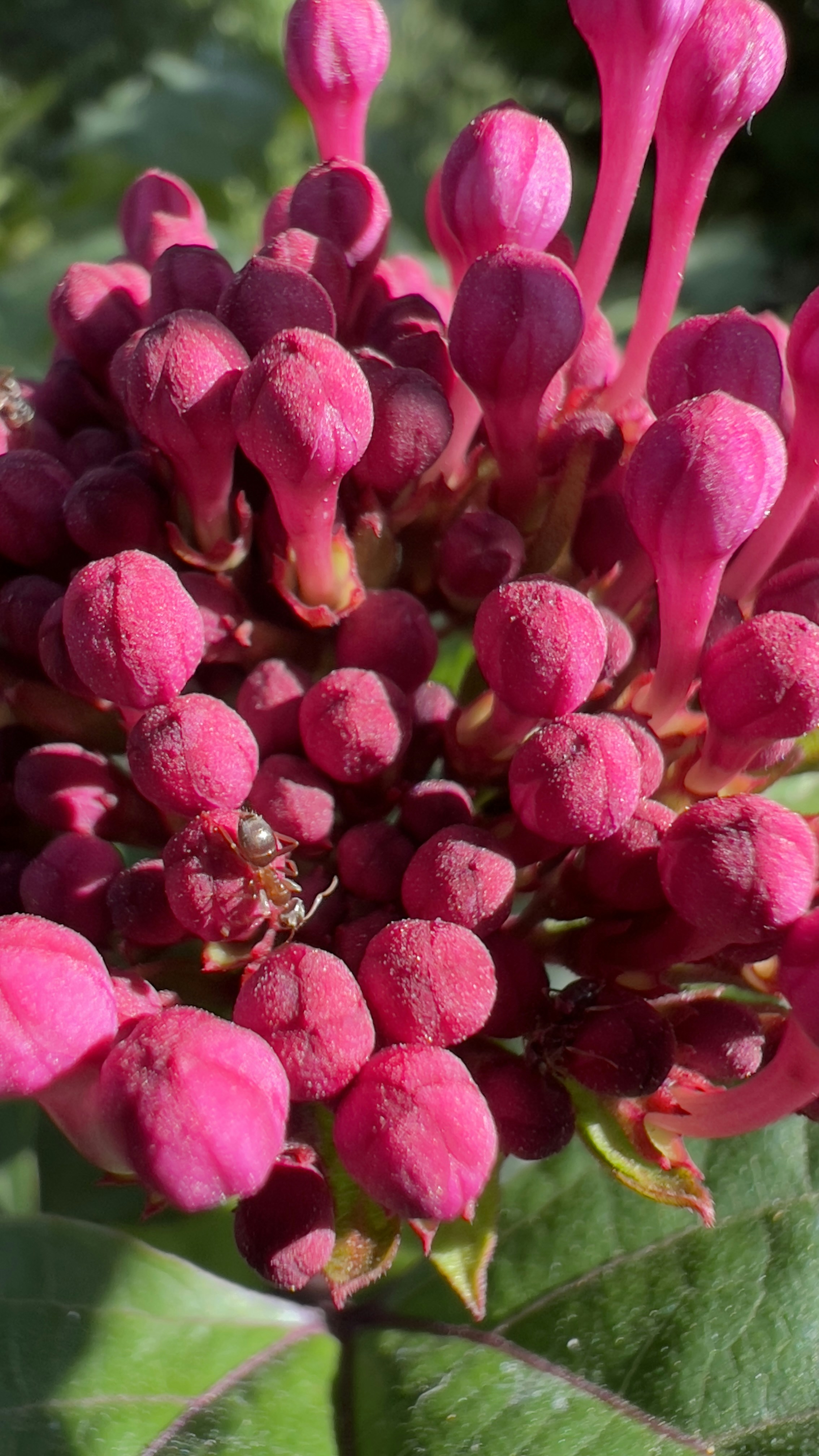 Photo by m10urcelik30