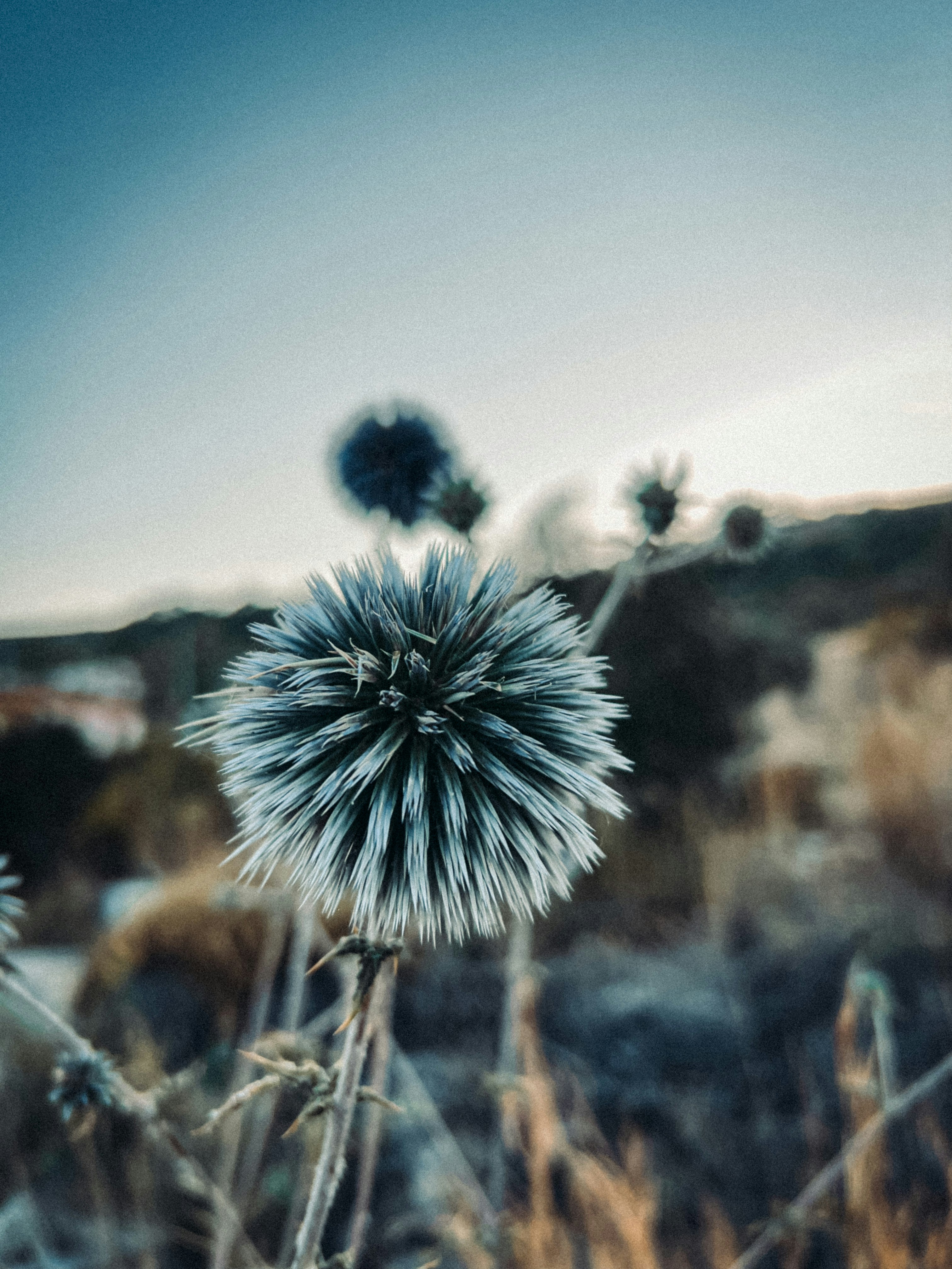 Photo by m10urcelik30