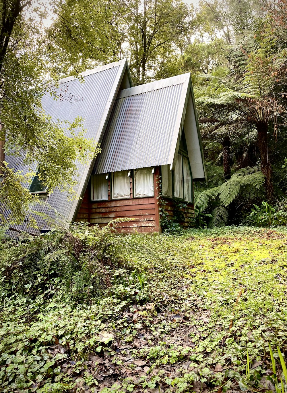 une maison avec une cour d’herbe