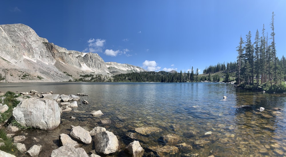 a lake with rocks and trees