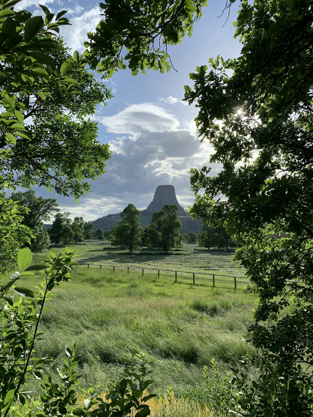 a grassy field with trees and mountains in the background