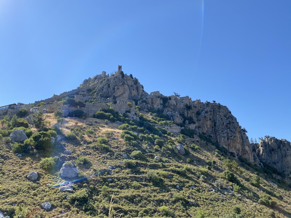 a rocky mountain with grass and trees