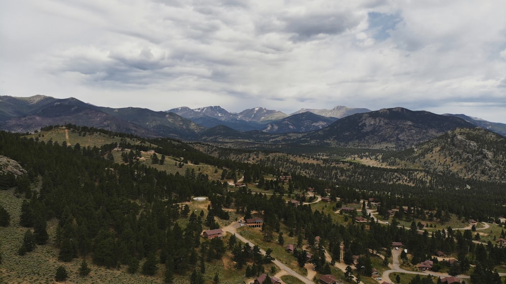 a landscape with trees and mountains in the back