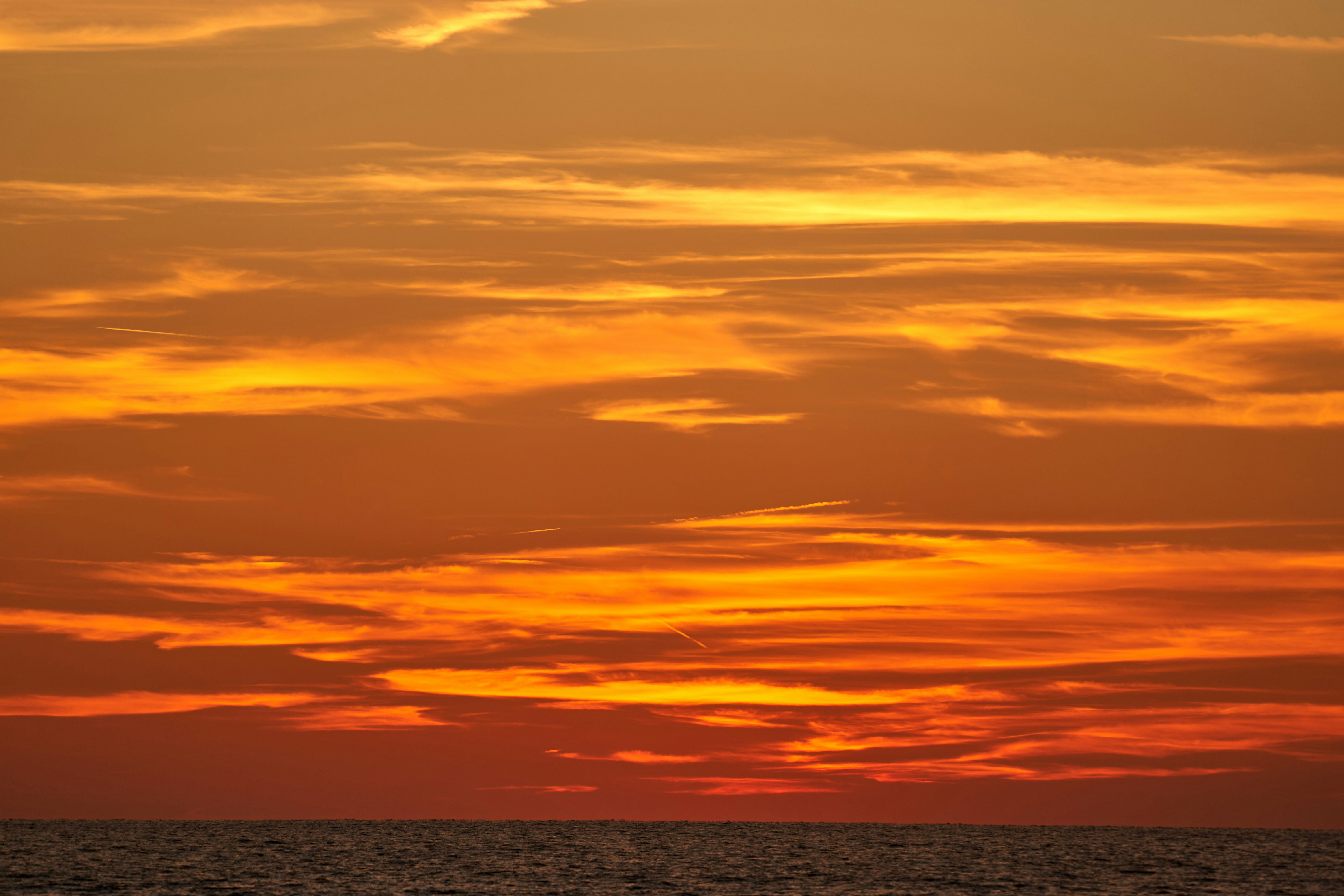 Photo by wolfgang_hasselmann