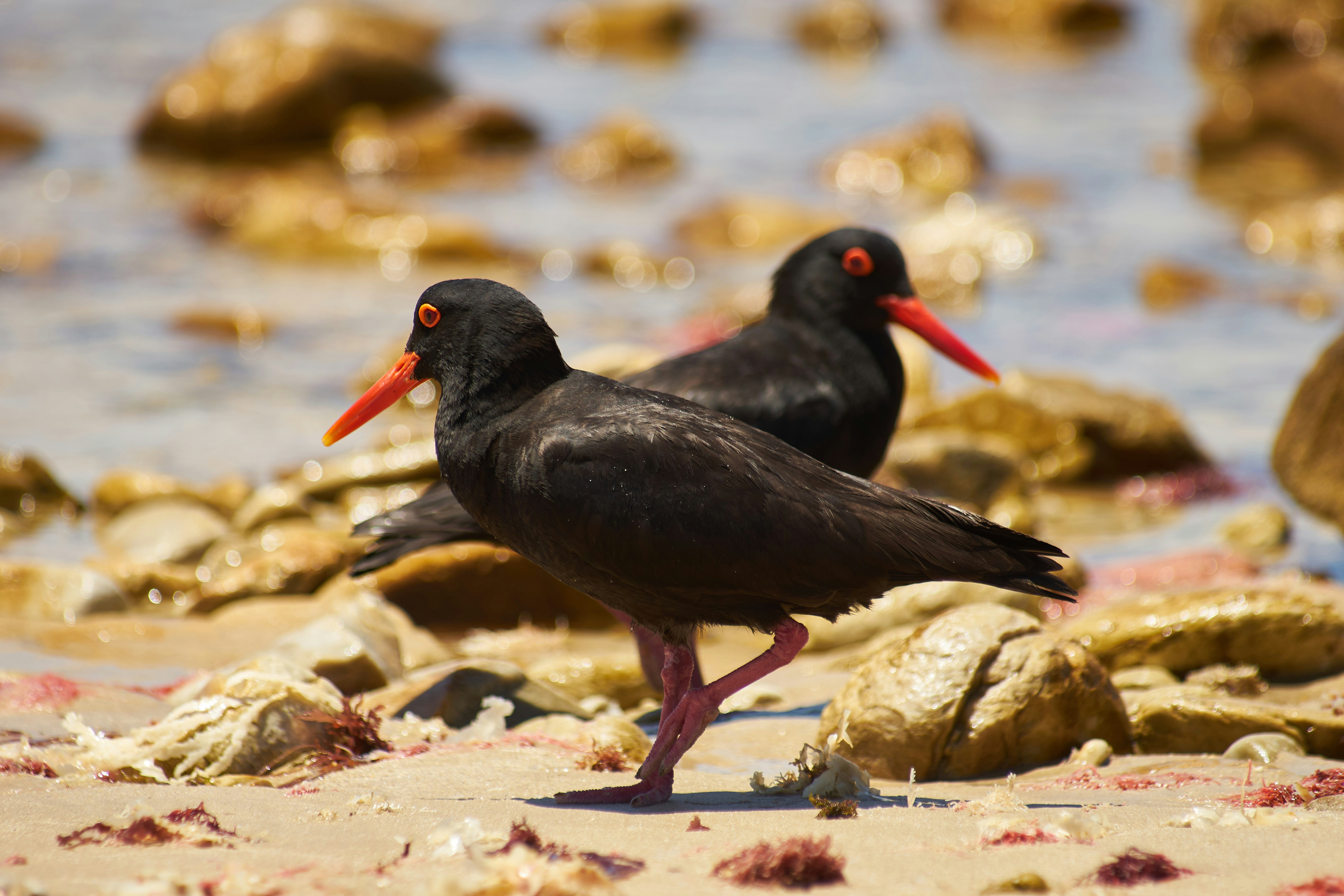 Photo by wolfgang_hasselmann