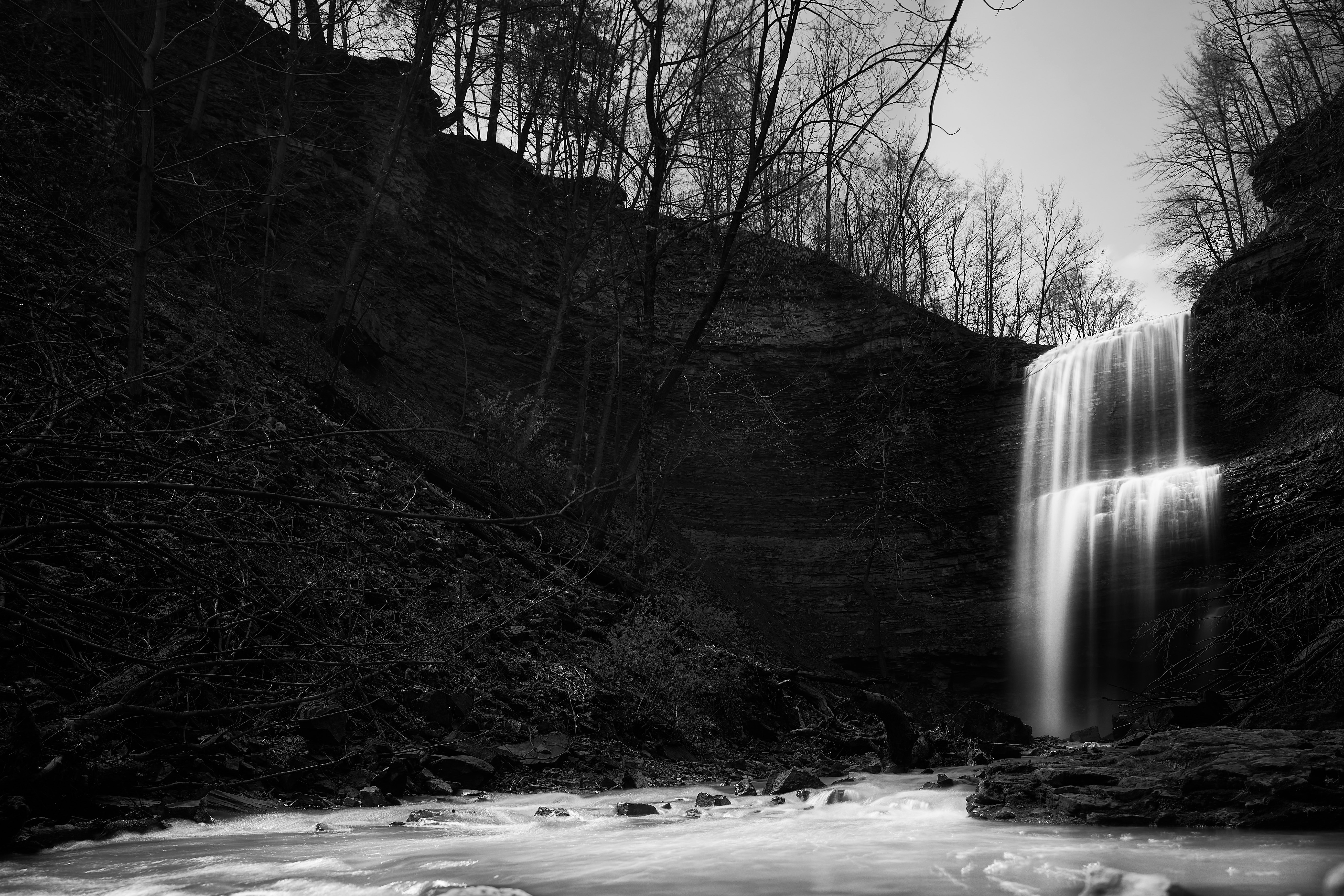 Photo by wolfgang_hasselmann