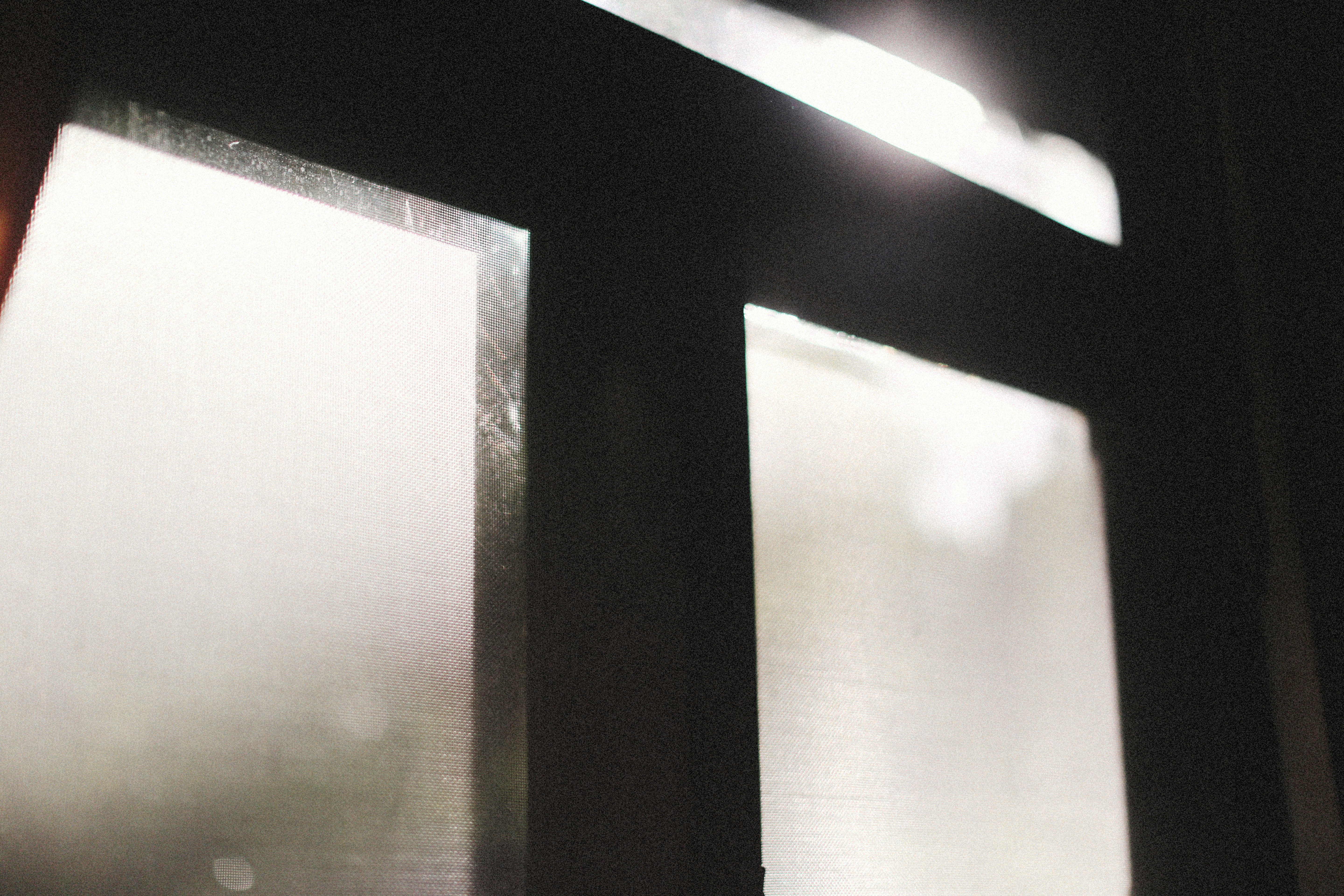 Photo by alexeydemidov