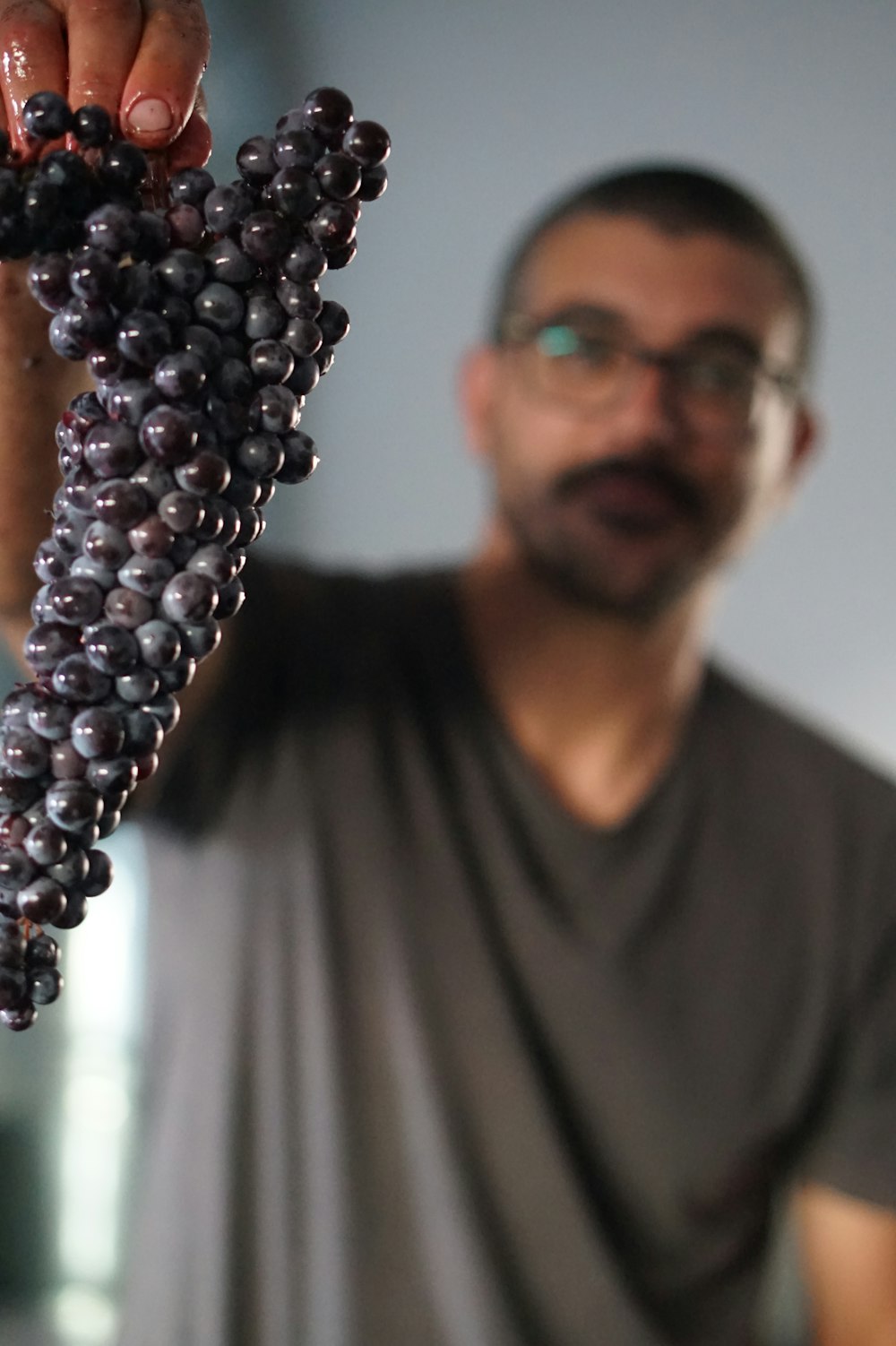 a man holding a bunch of grapes