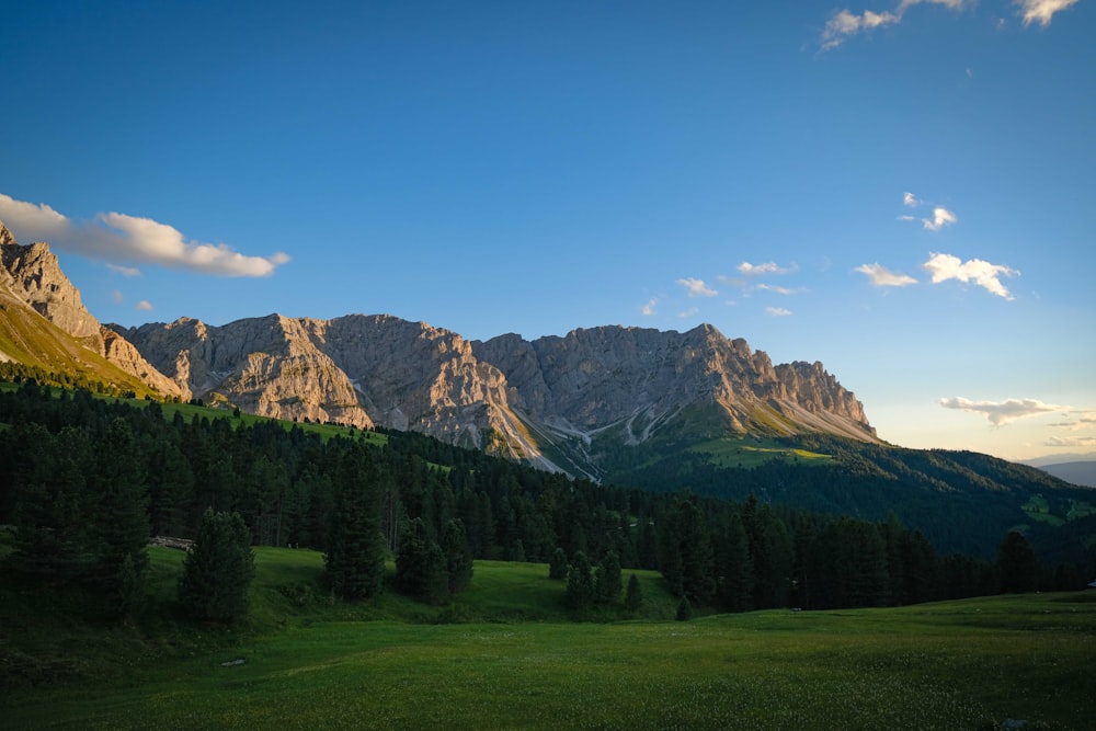 a grassy field with trees and mountains in the background