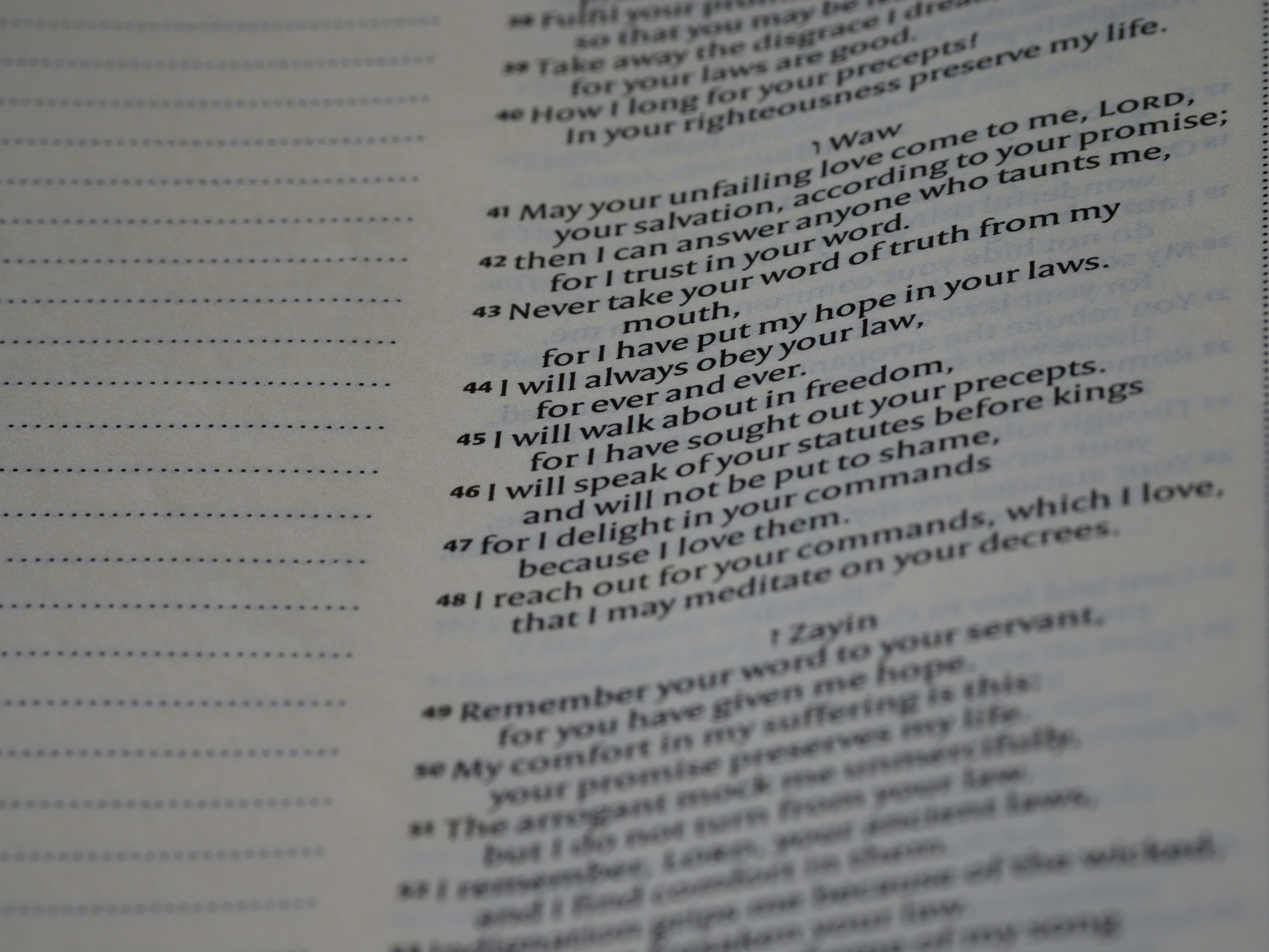 Photo by brett_jordan