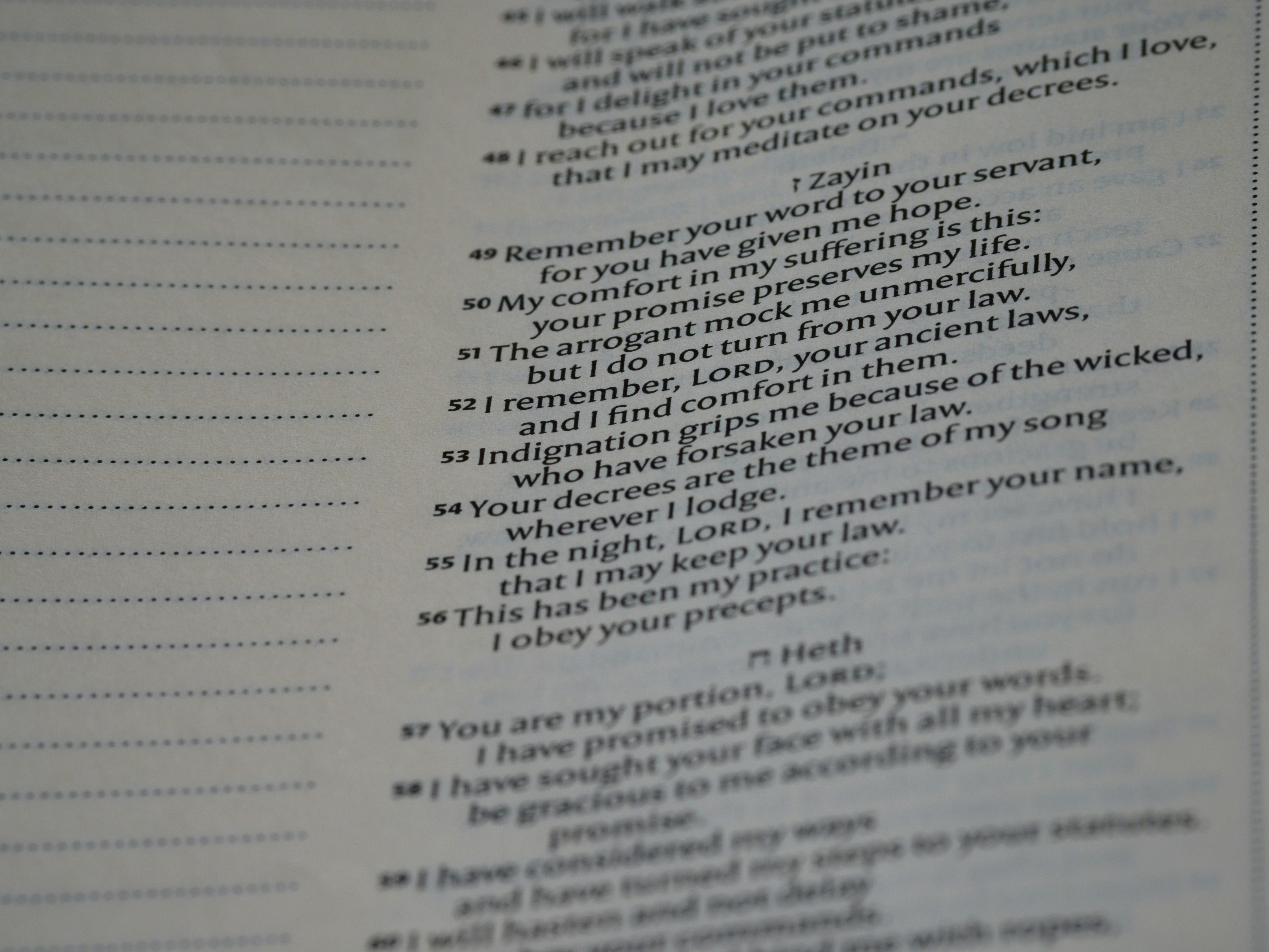 Photo by brett_jordan