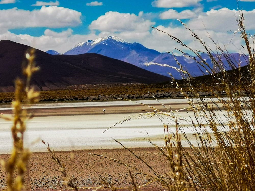 a lake with mountains in the background