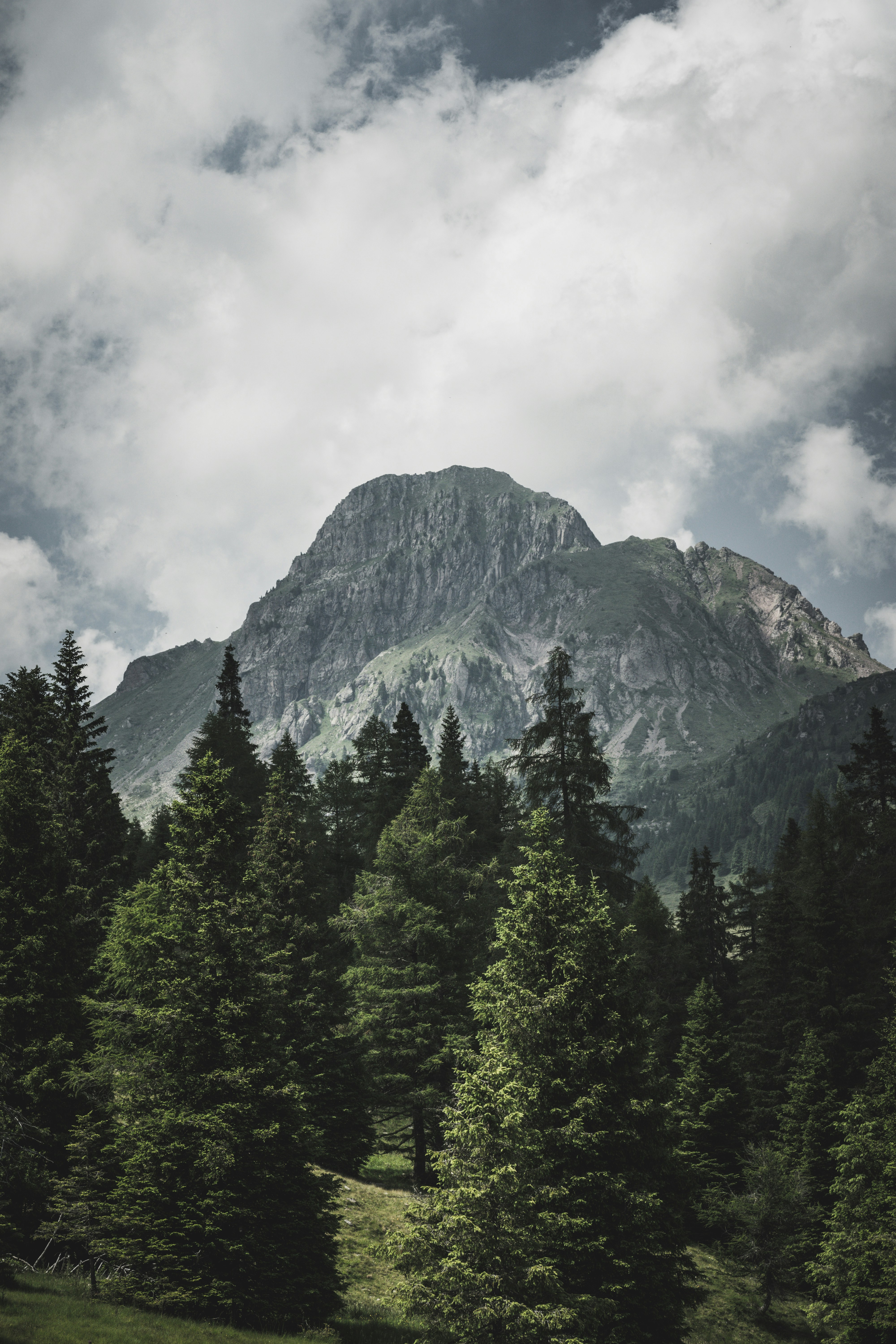 Photo by luca_nicoletti