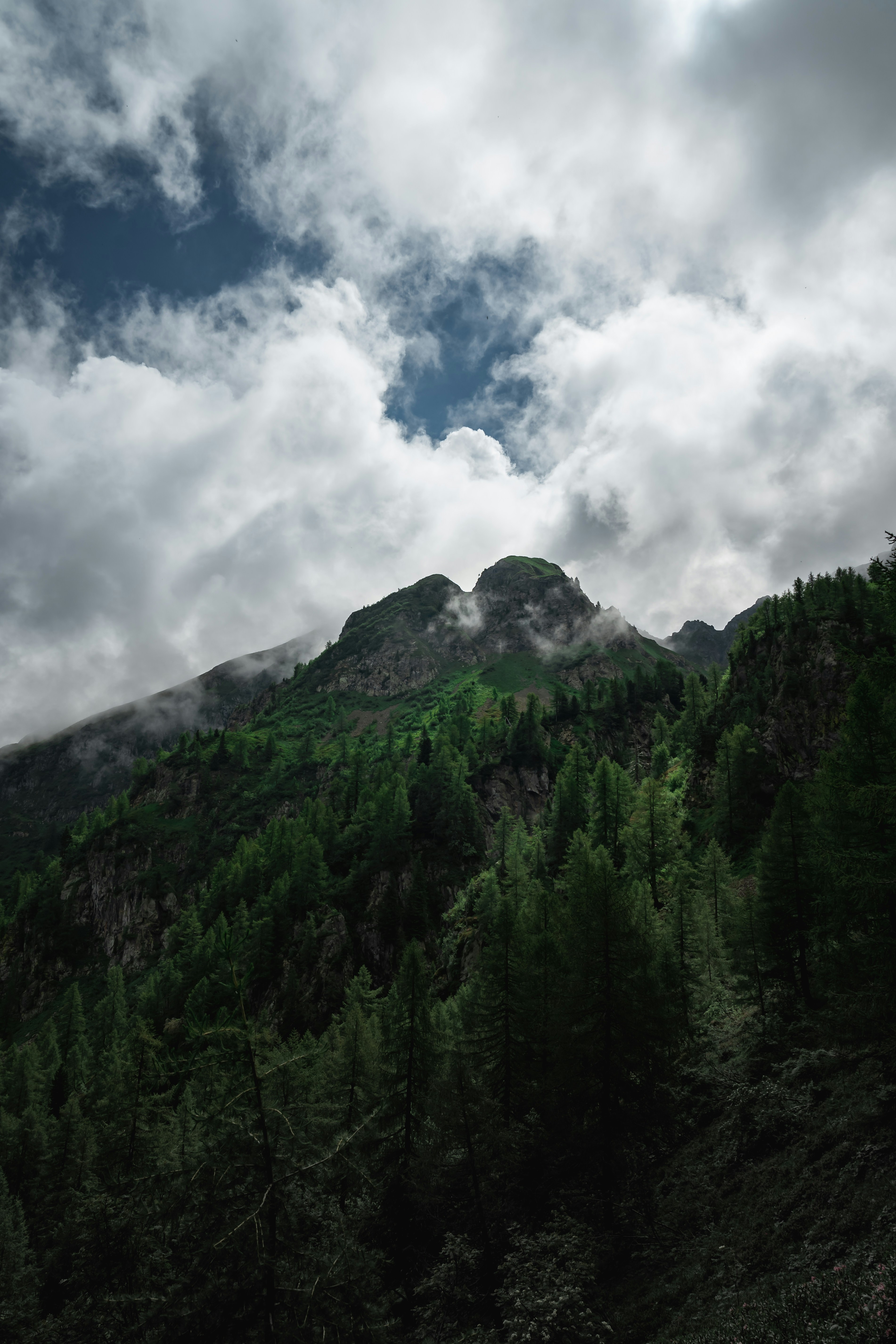 Photo by luca_nicoletti