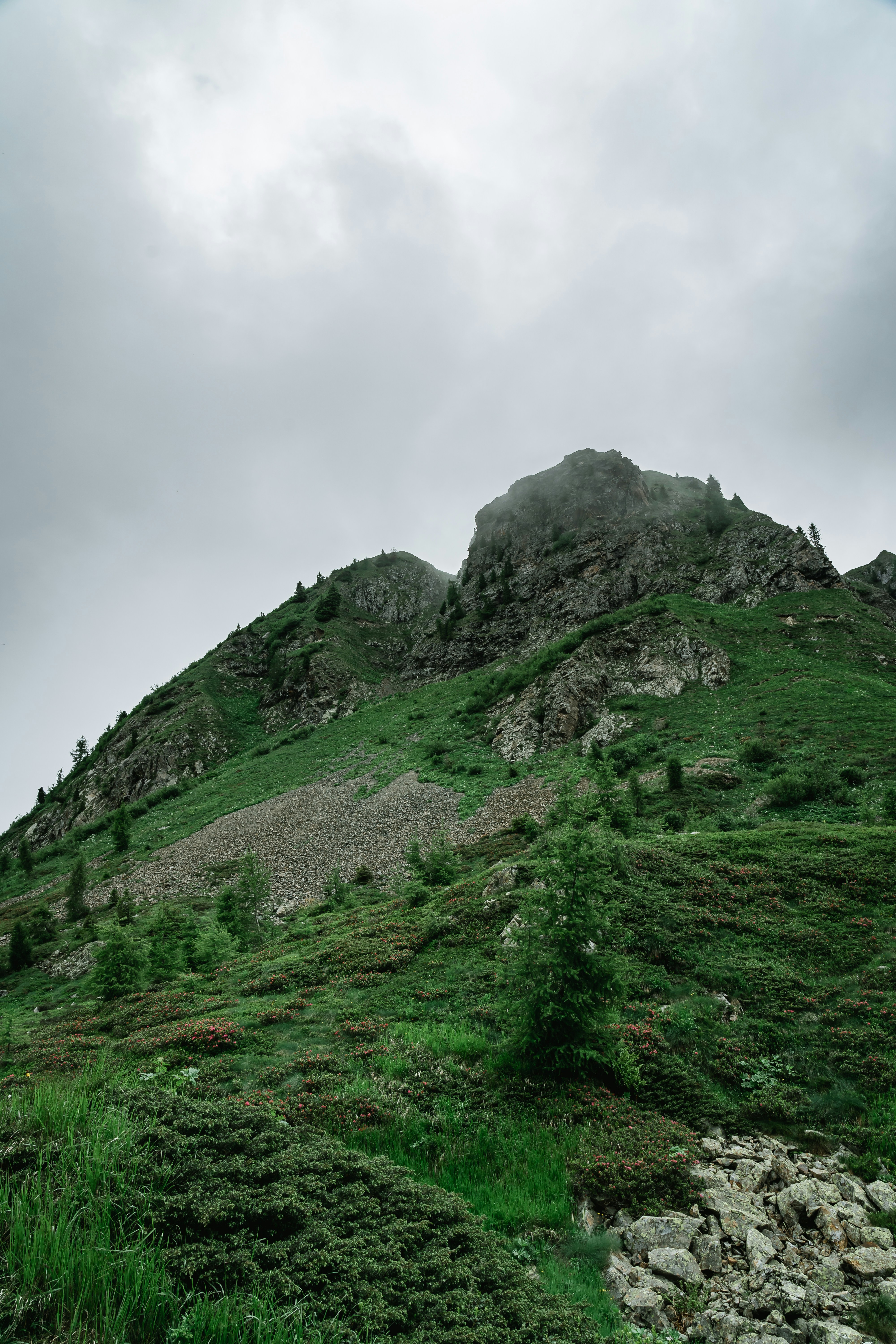 Photo by luca_nicoletti