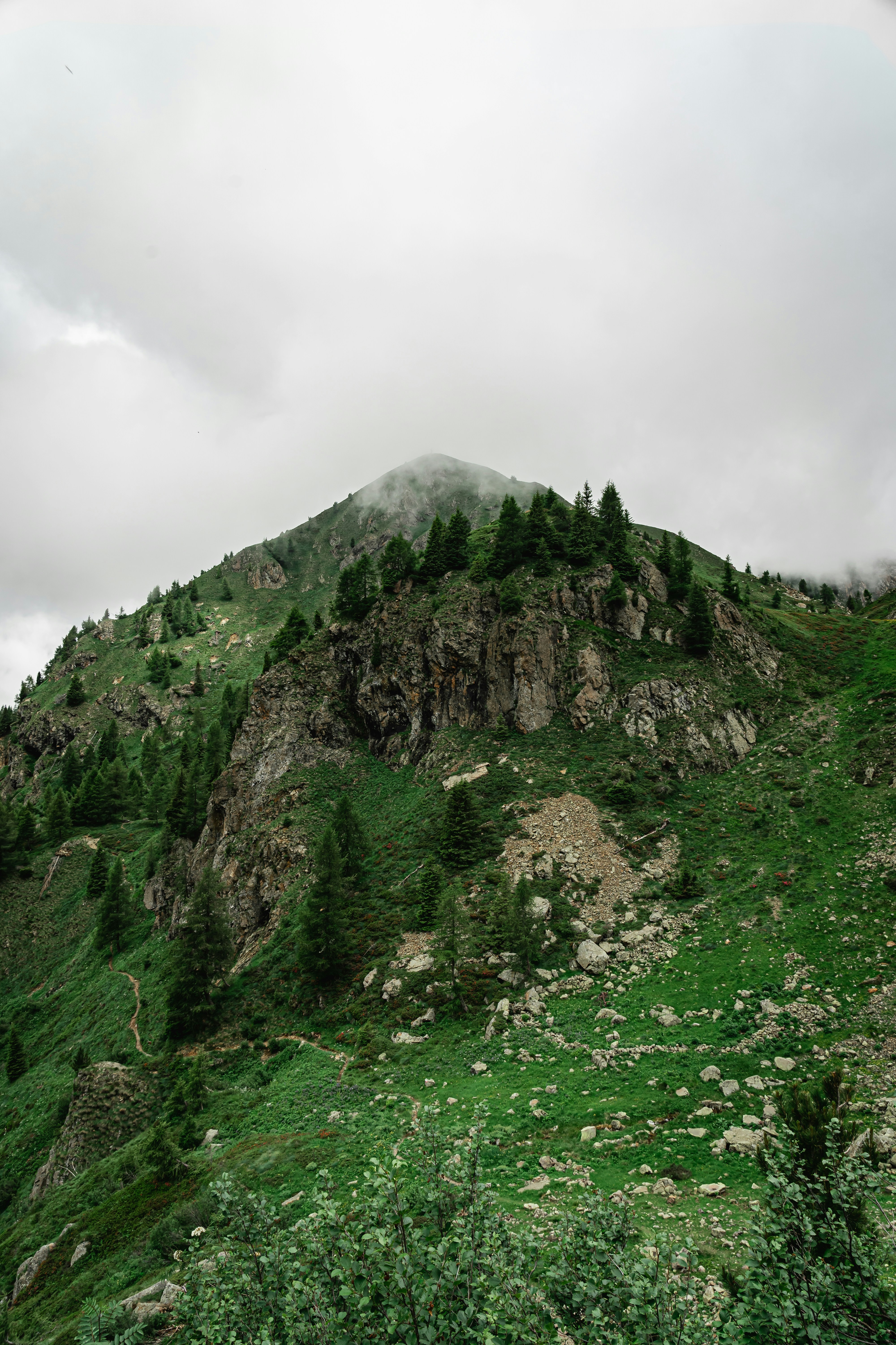 a rocky mountain with trees