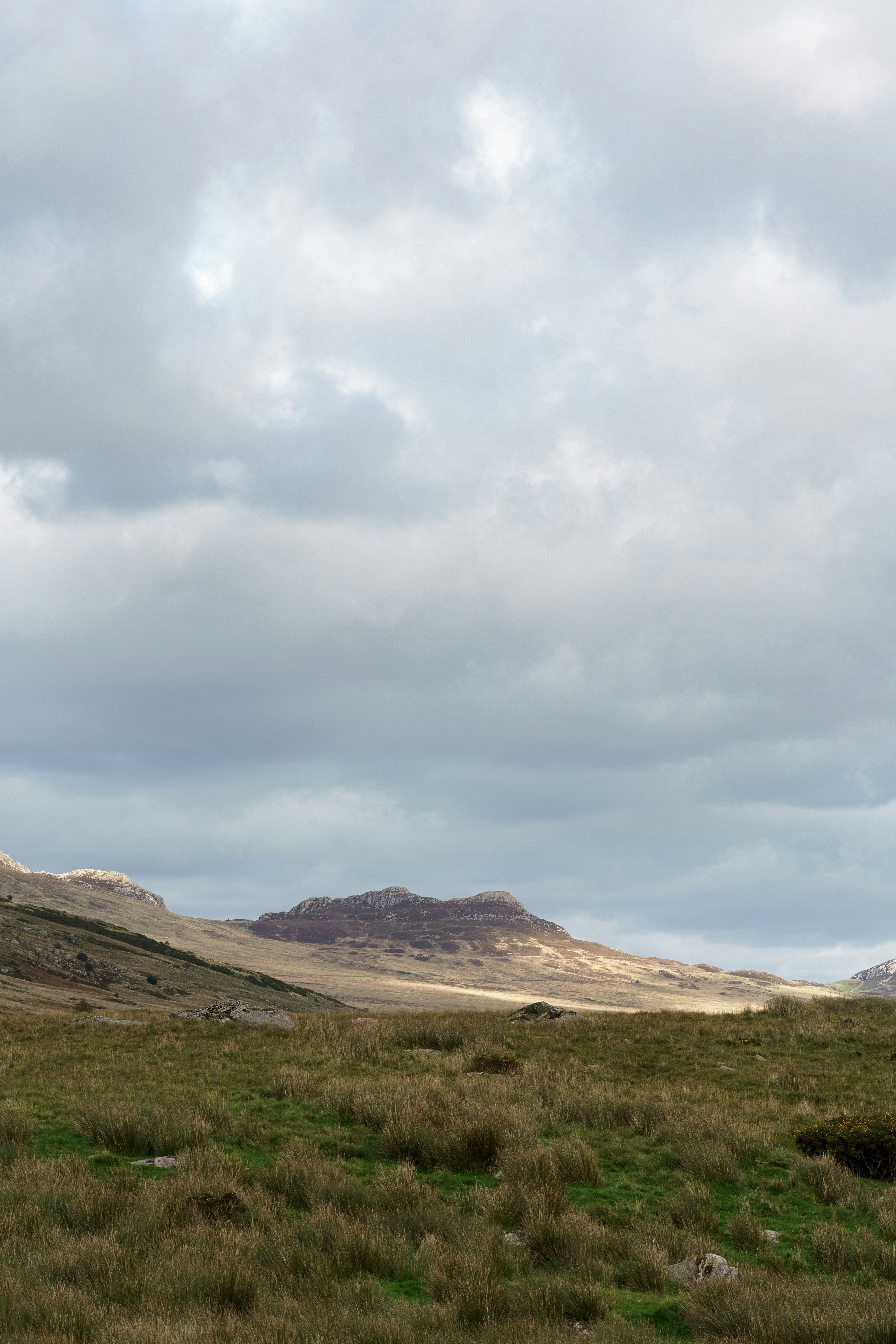 Photo by luca_nicoletti