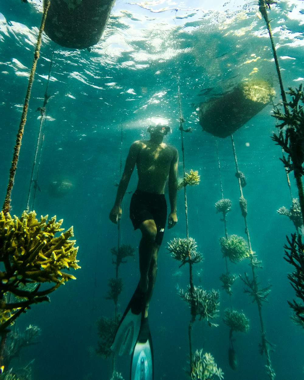 a person in a tank underwater