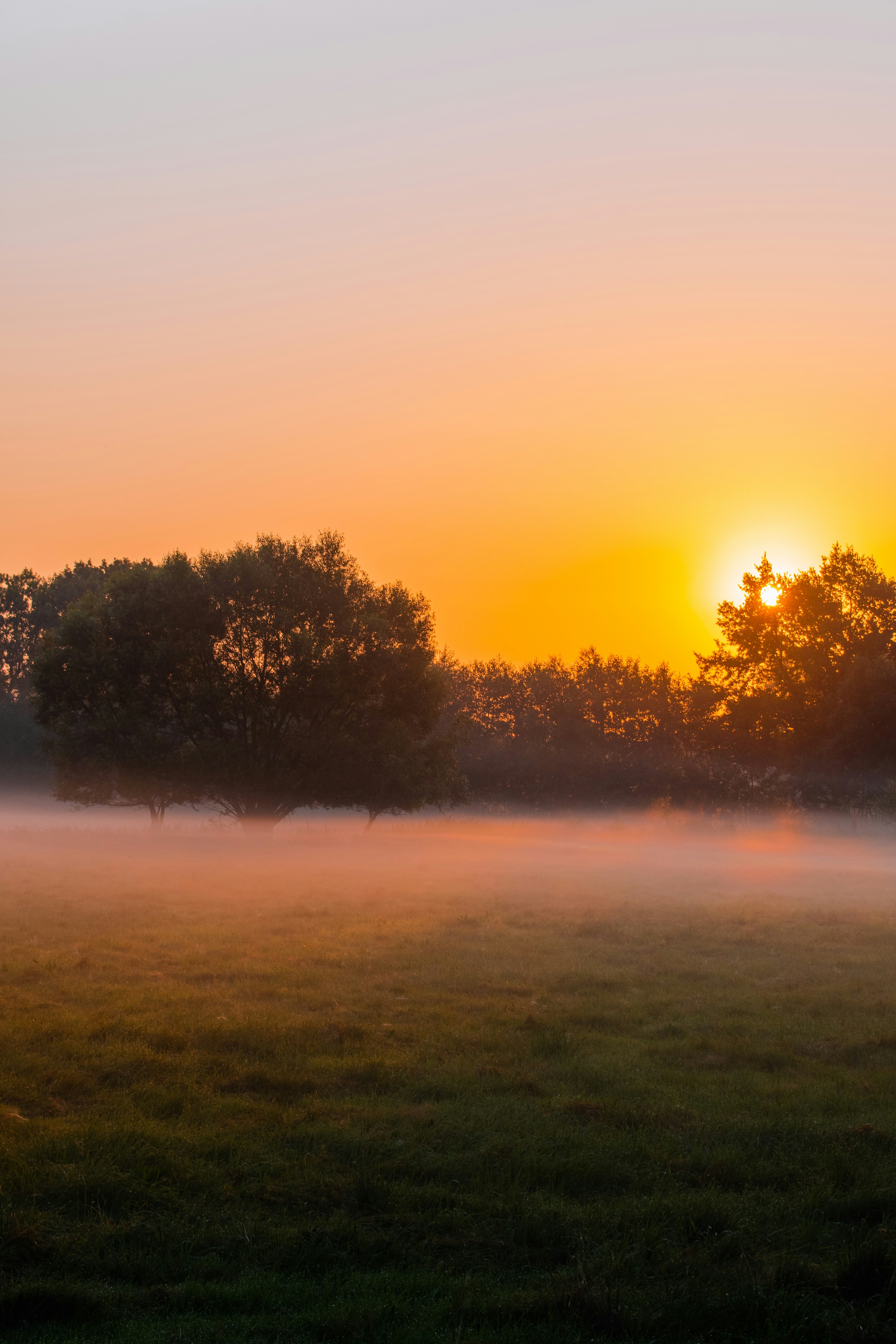 Photo by lukaskonvica