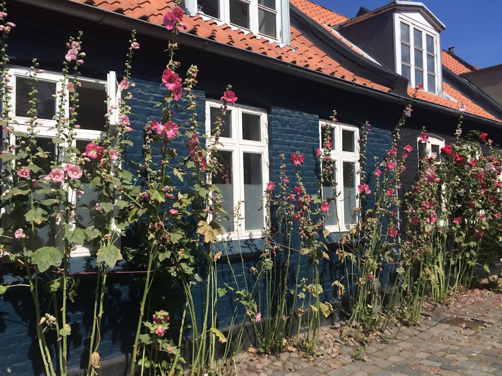 a house with a fence and flowers in front of it