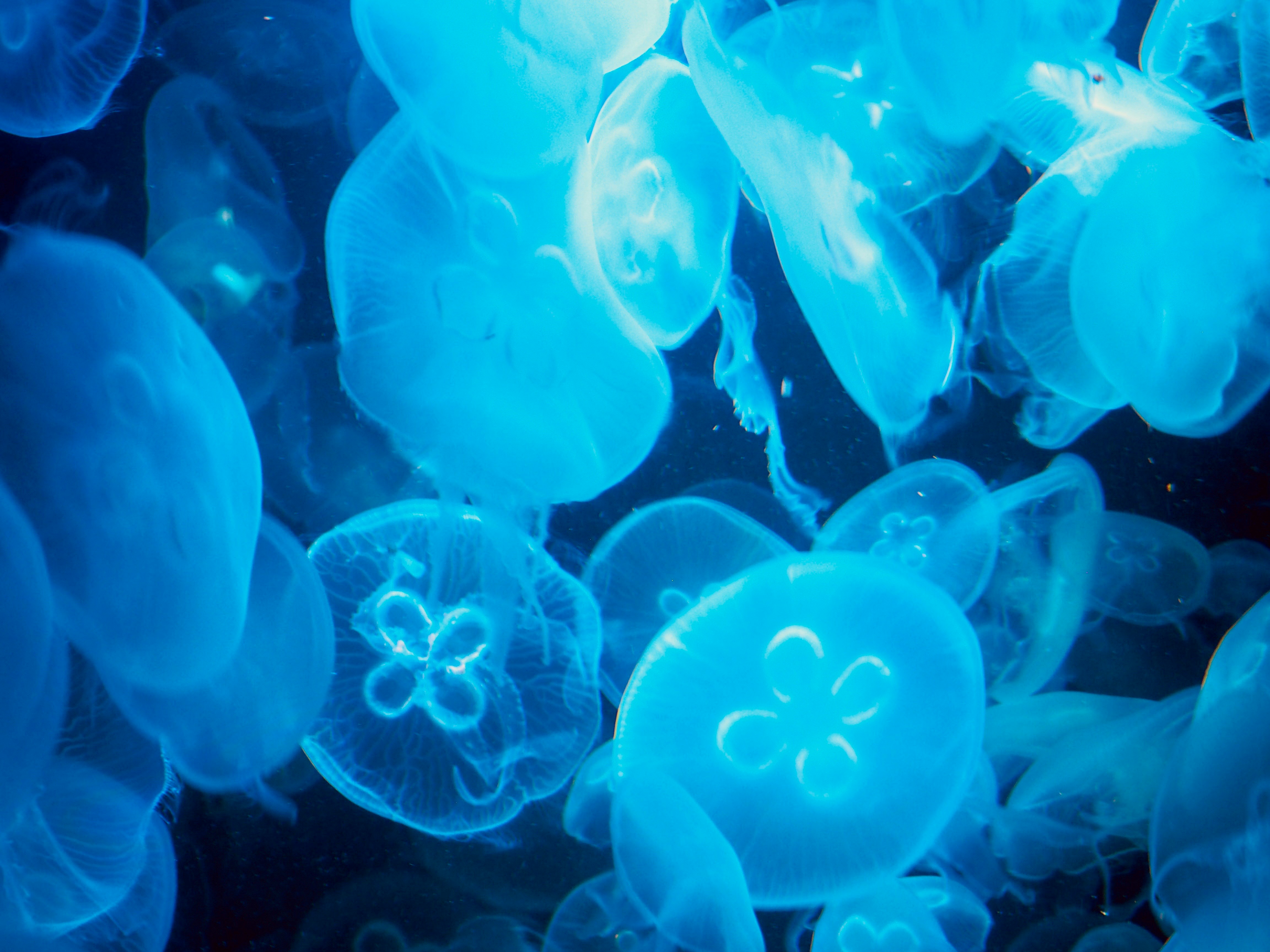 Photo by caroline_2603