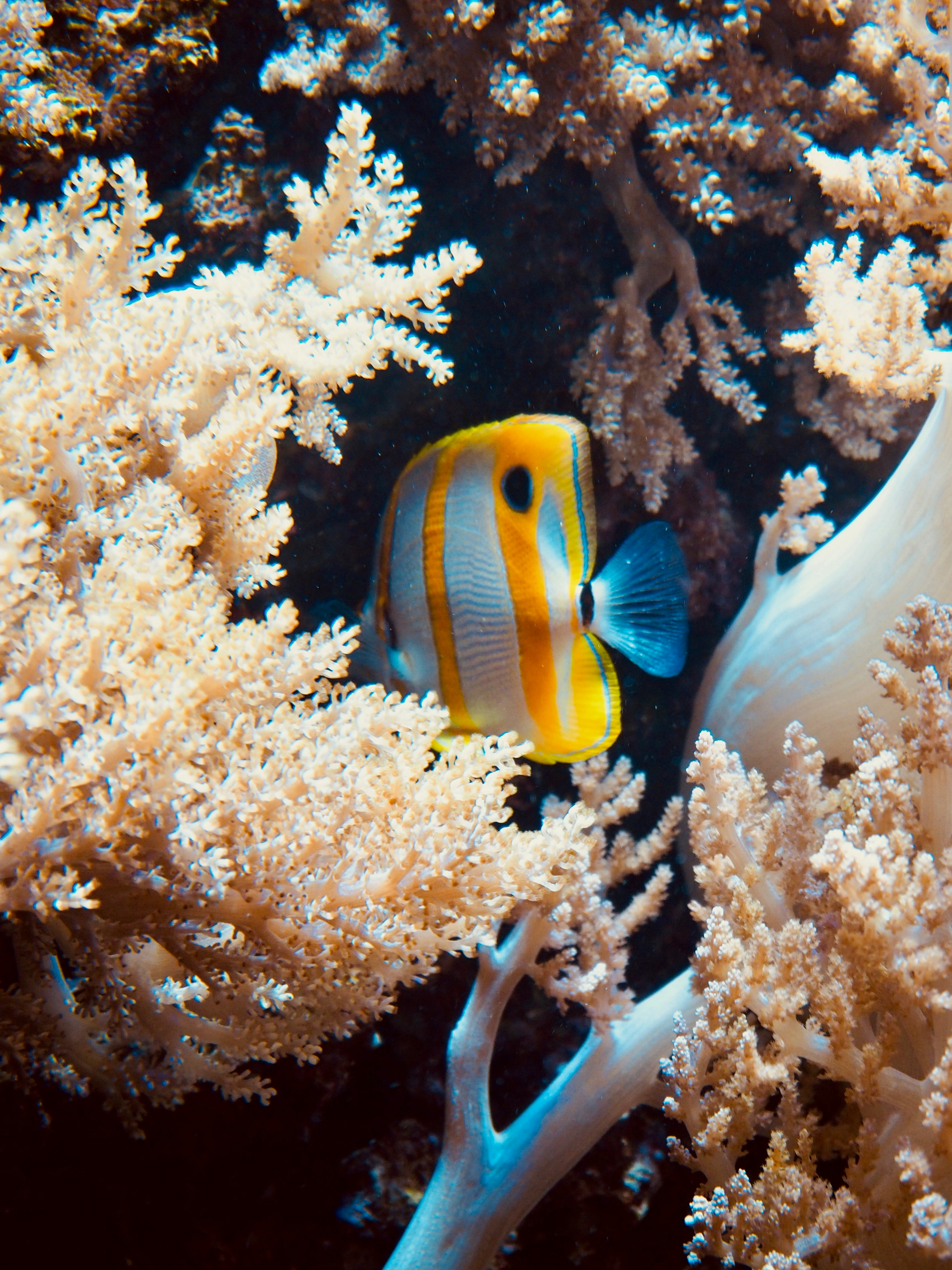 Photo by caroline_2603