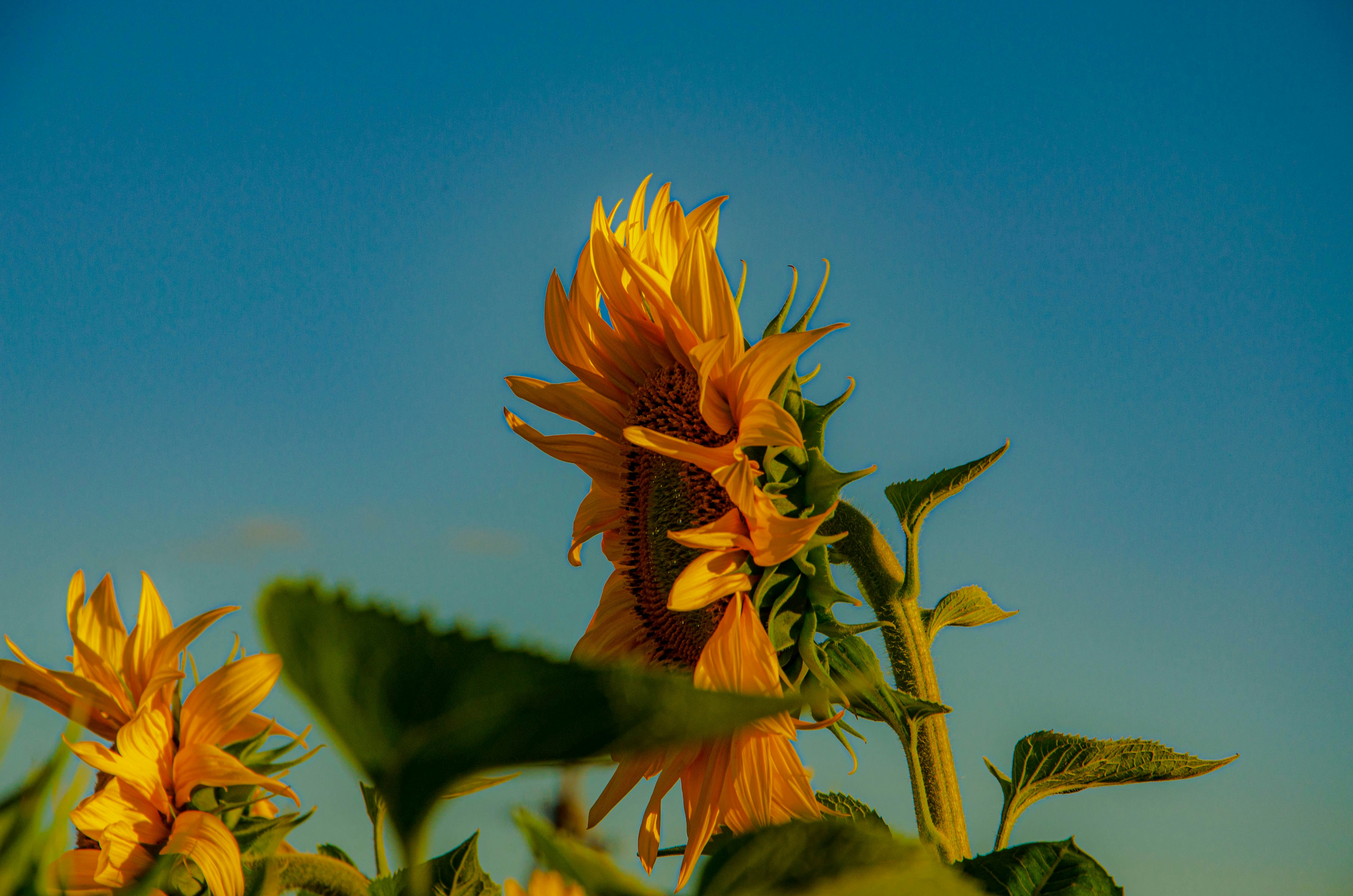 Photo by _florens_spenser_