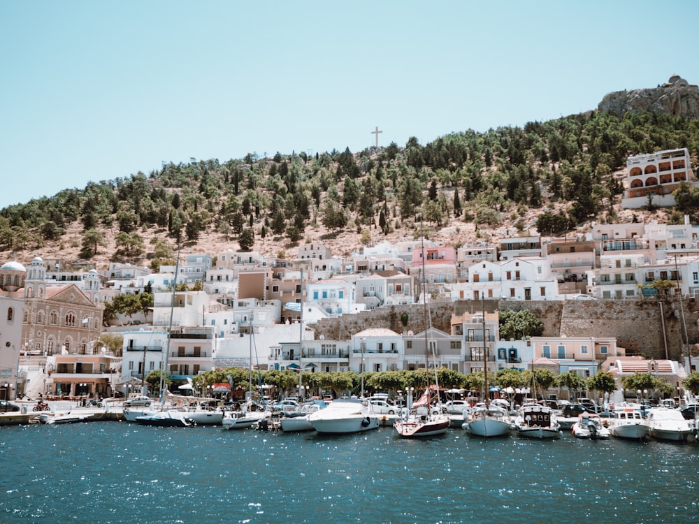 a city with many boats