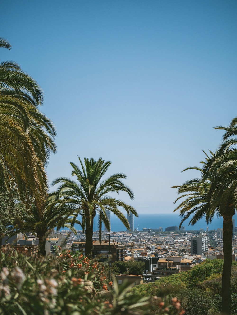 a city with palm trees and water in the background