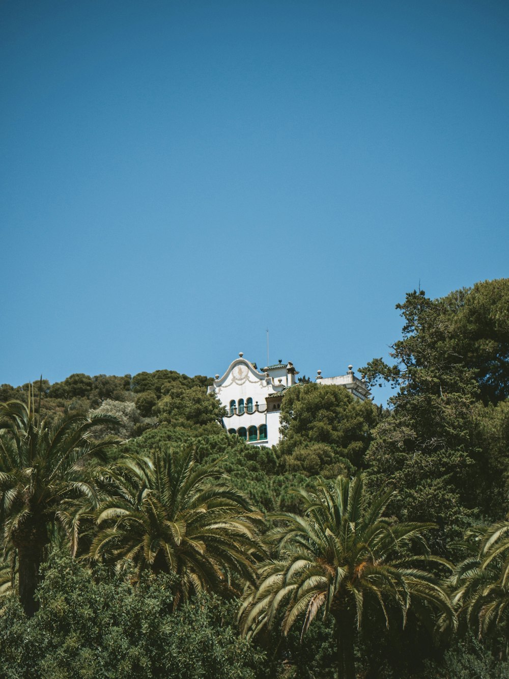 a building behind trees