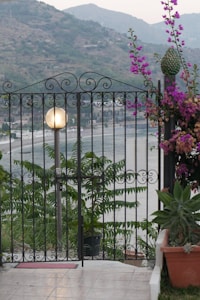 Swing Gate Operator
