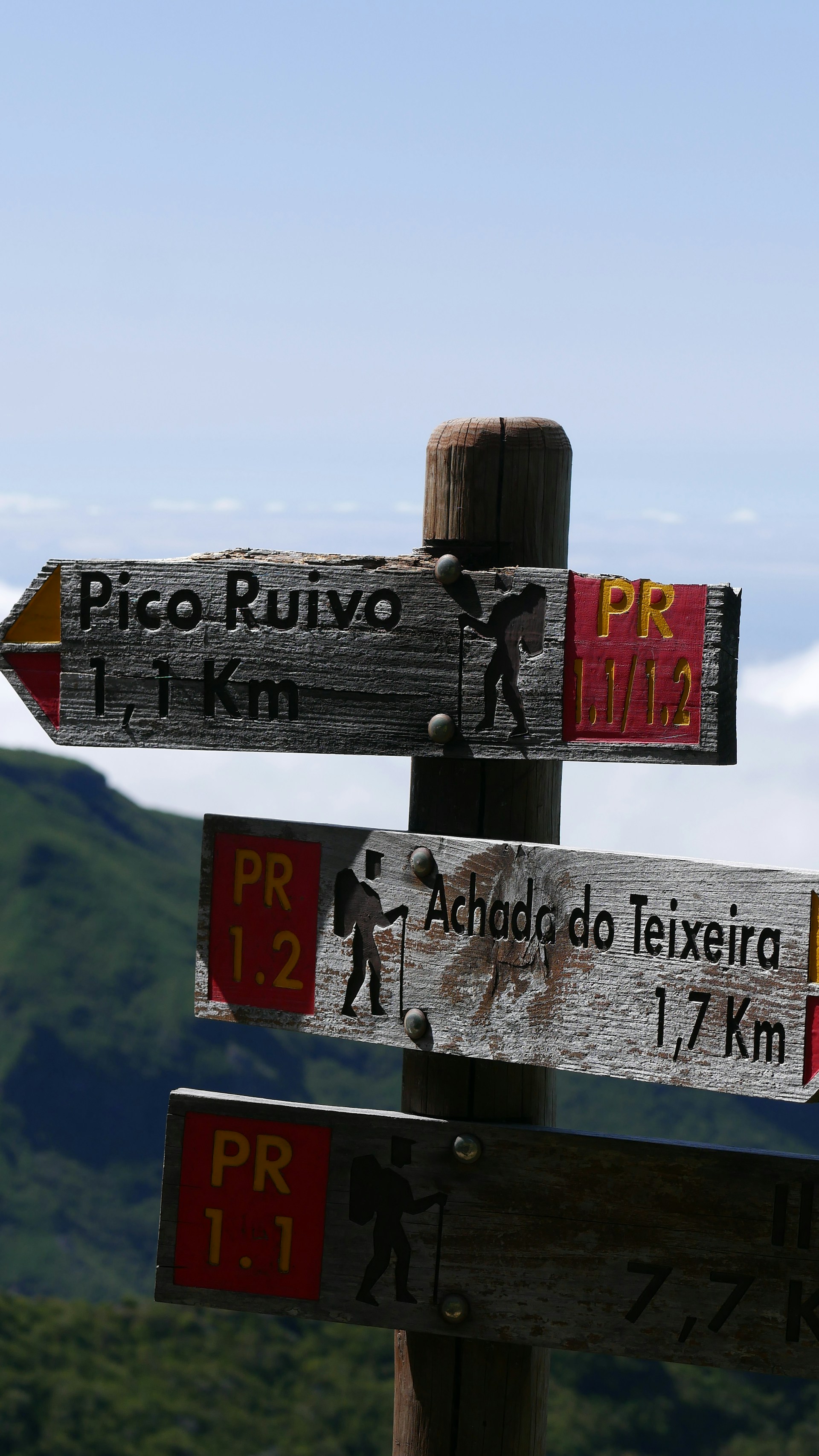 woman wearing yellow long-sleeved dress under white clouds and blue sky during daytime