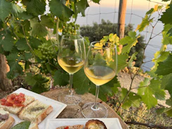 two glasses of wine on a table