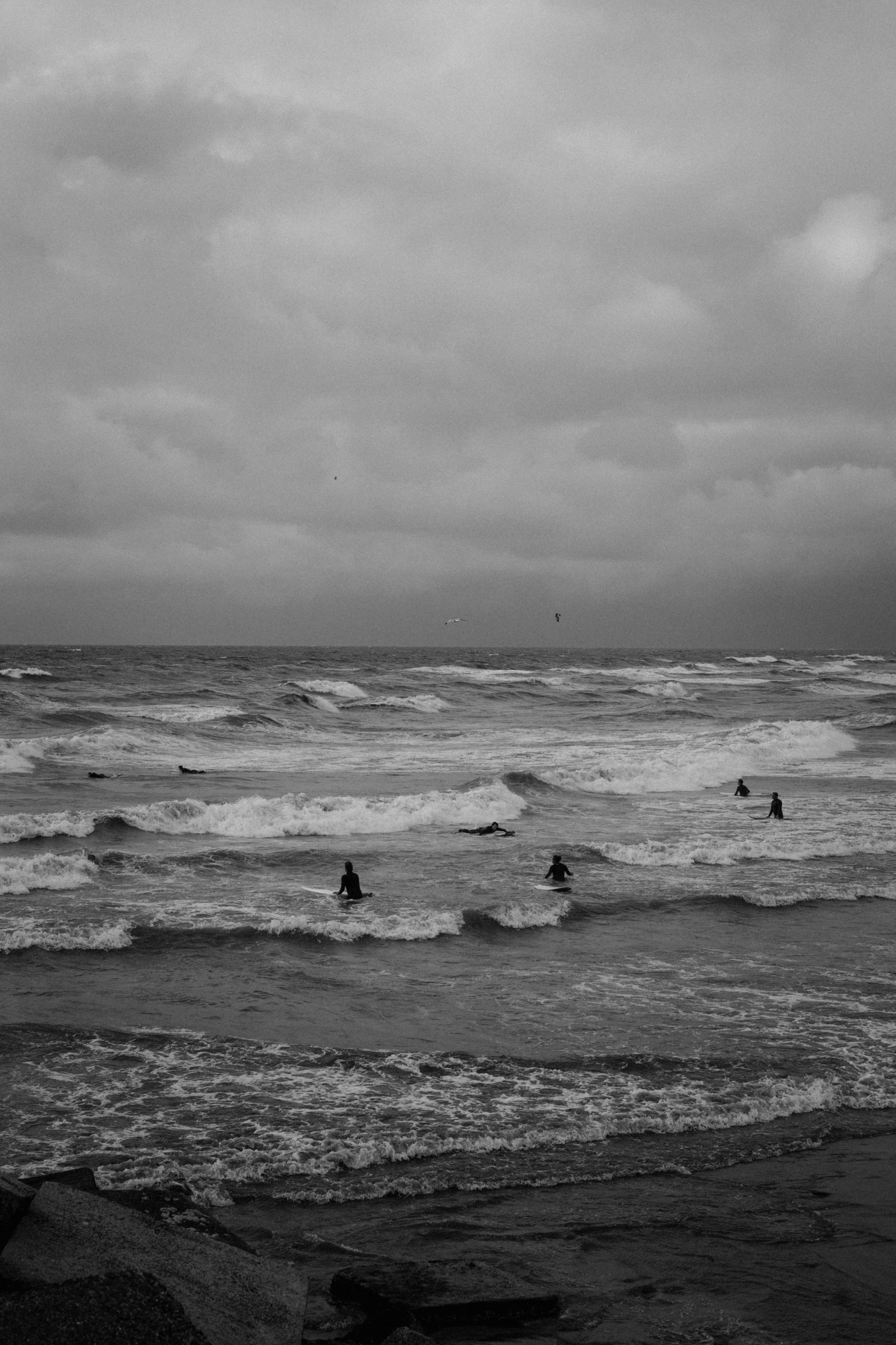 Affiche Plage Australie