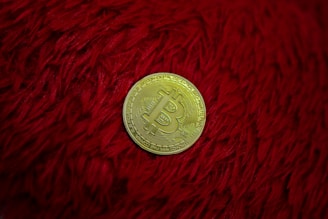 A gold Bitcoin representing a cryptocurrency is placed on a textured red surface, possibly a furry or shaggy fabric.