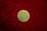 A gold Bitcoin representing a cryptocurrency is placed on a textured red surface, possibly a furry or shaggy fabric.