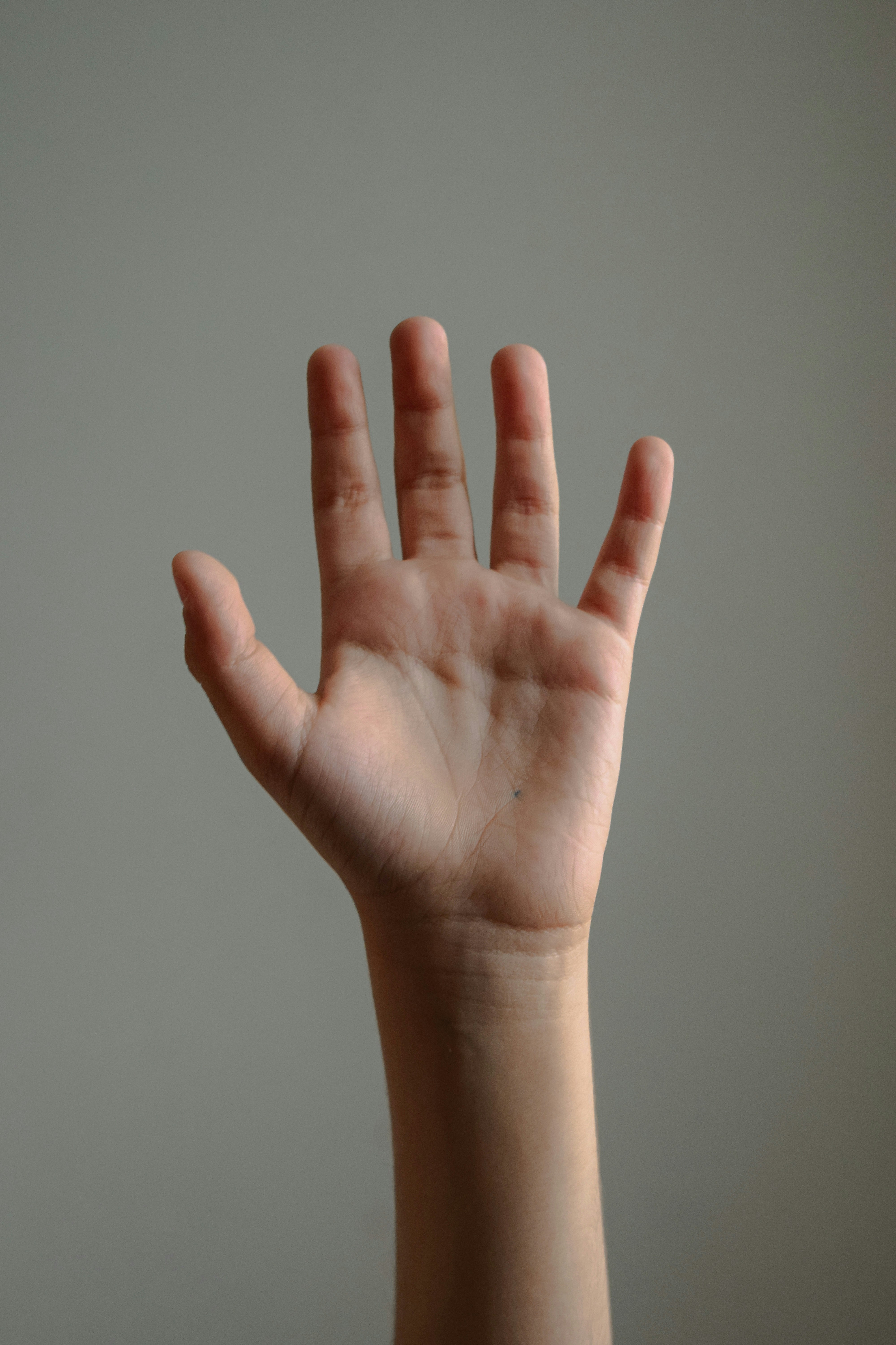 a hand holding a cell phone