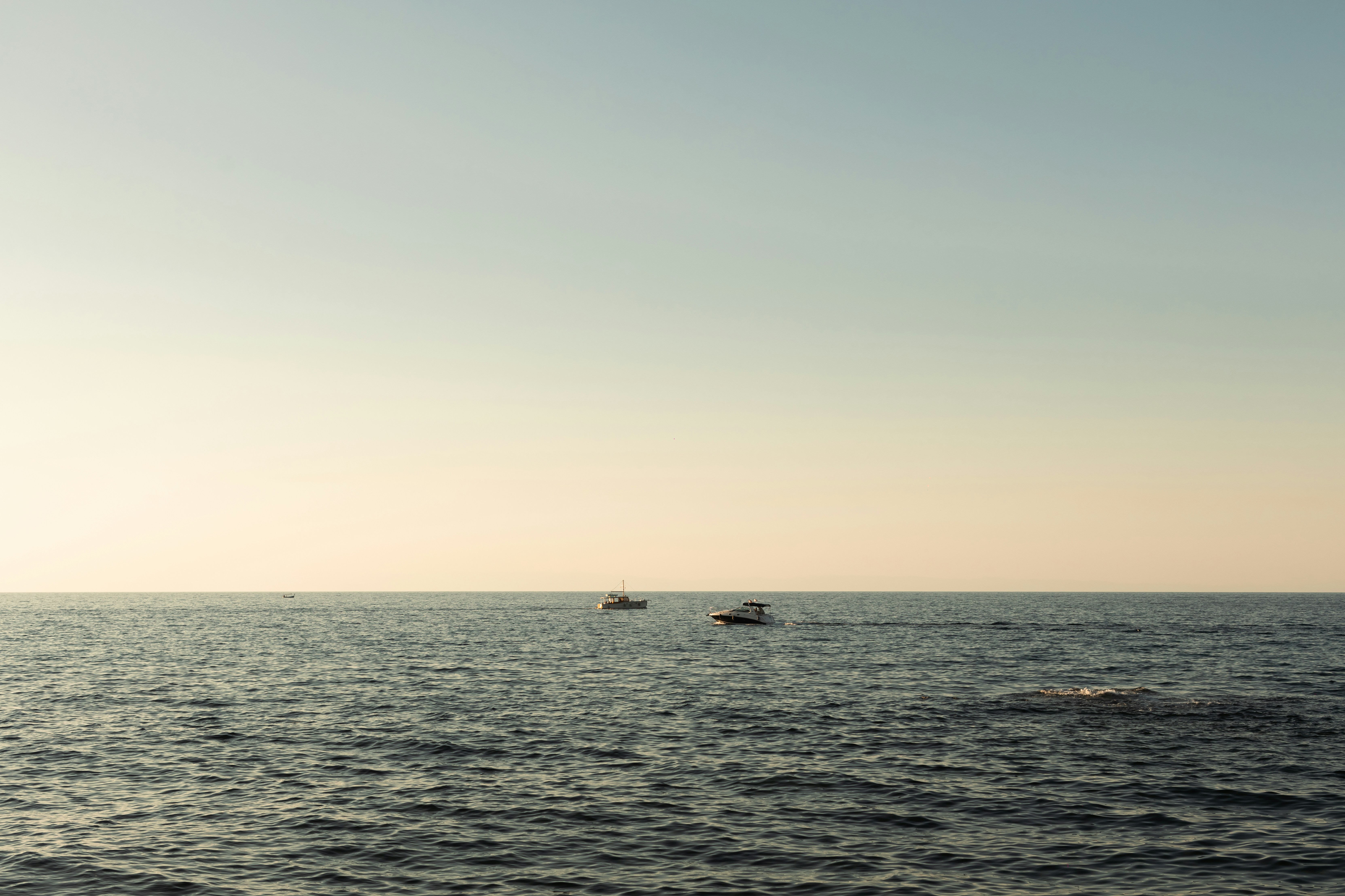 Photo by 1hundredimages